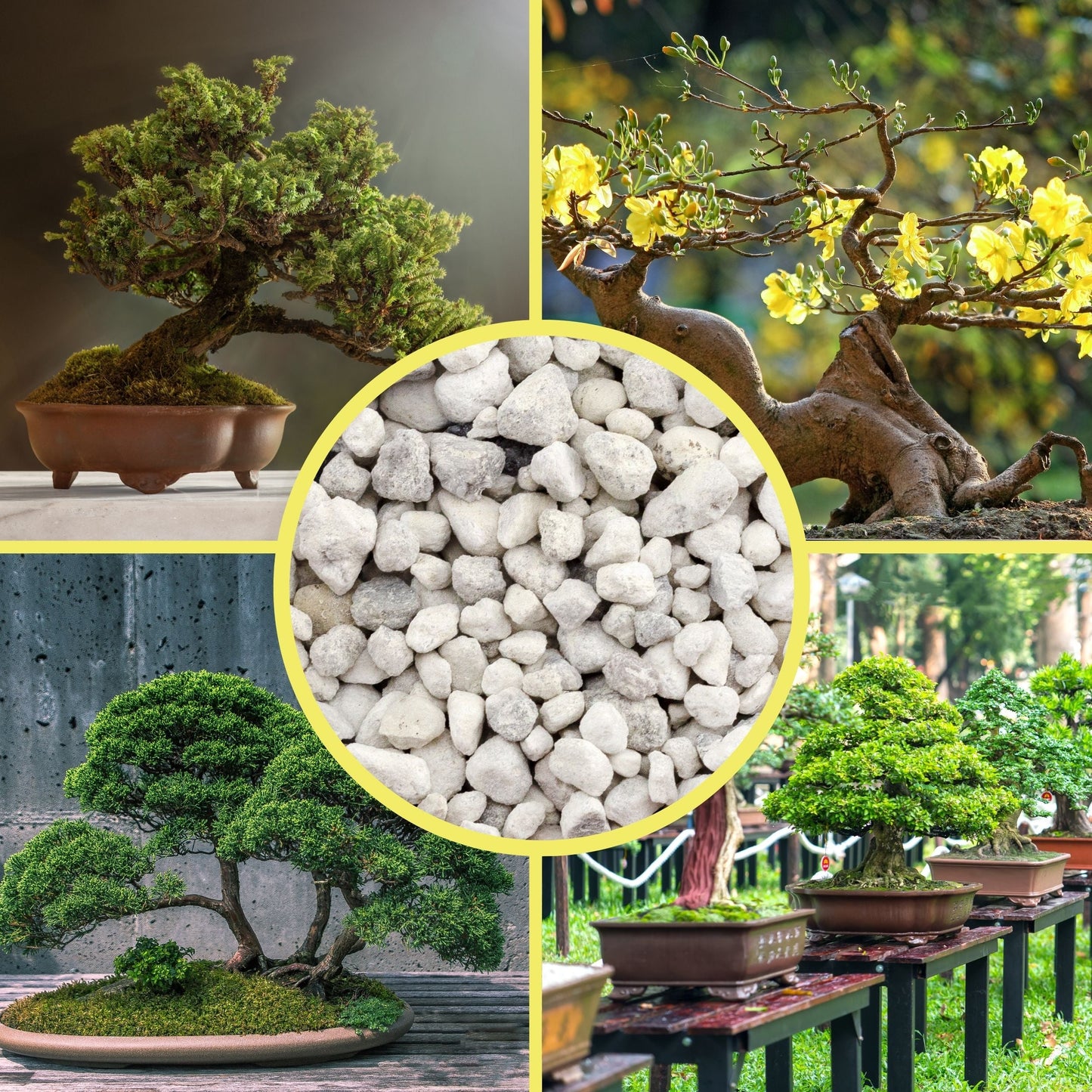 Horticultural Bonsai Pumice Soil Amendment (4 Quarts) - SSKIT168