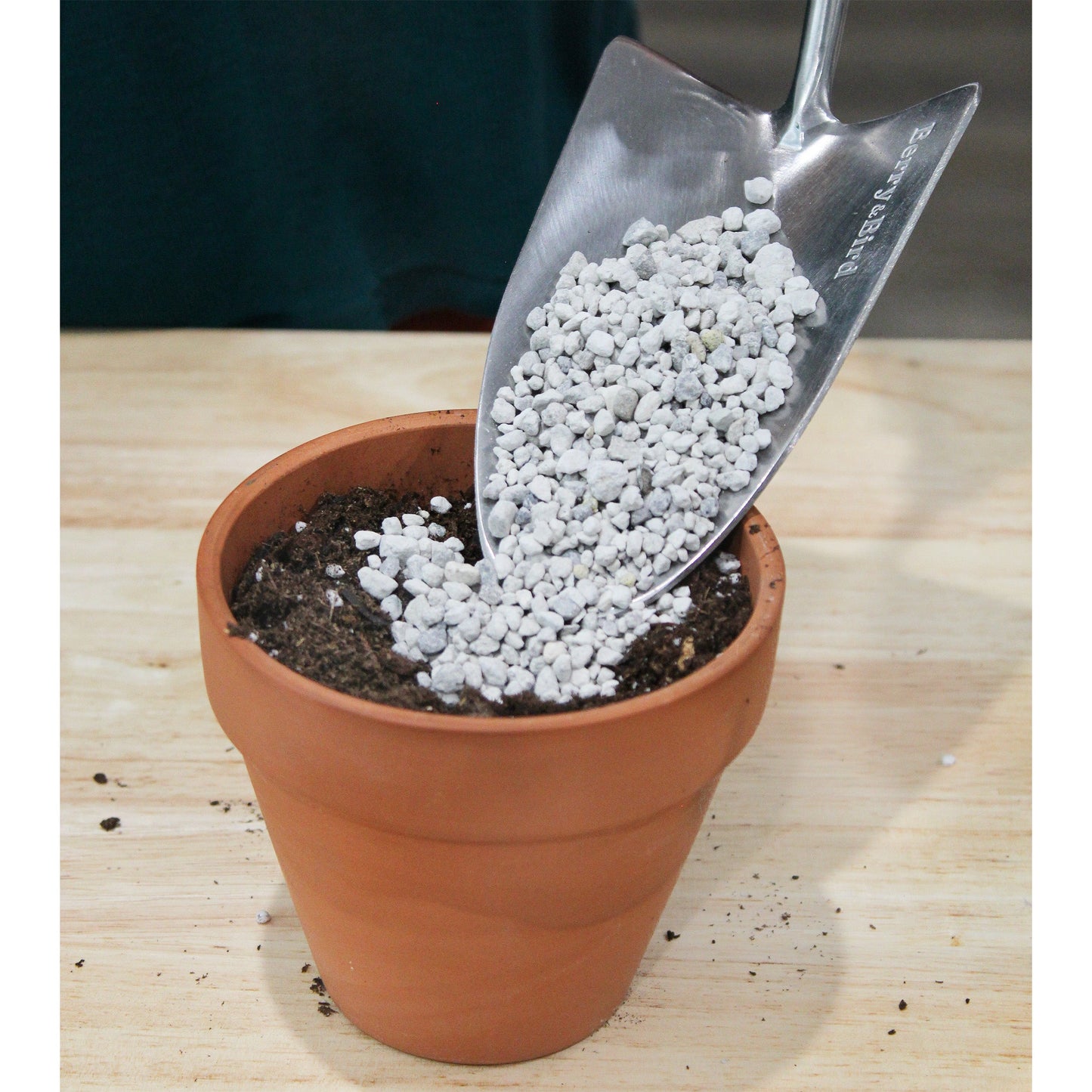 Horticultural Bonsai Pumice Soil Amendment (4 Quarts) - SSKIT168