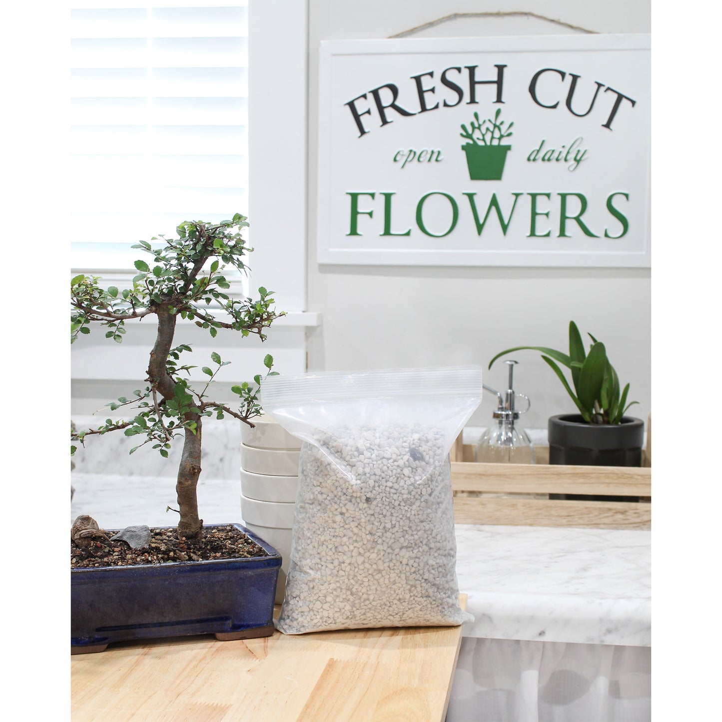 Horticultural Bonsai Pumice Soil Amendment (4 Quarts) - SSKIT168