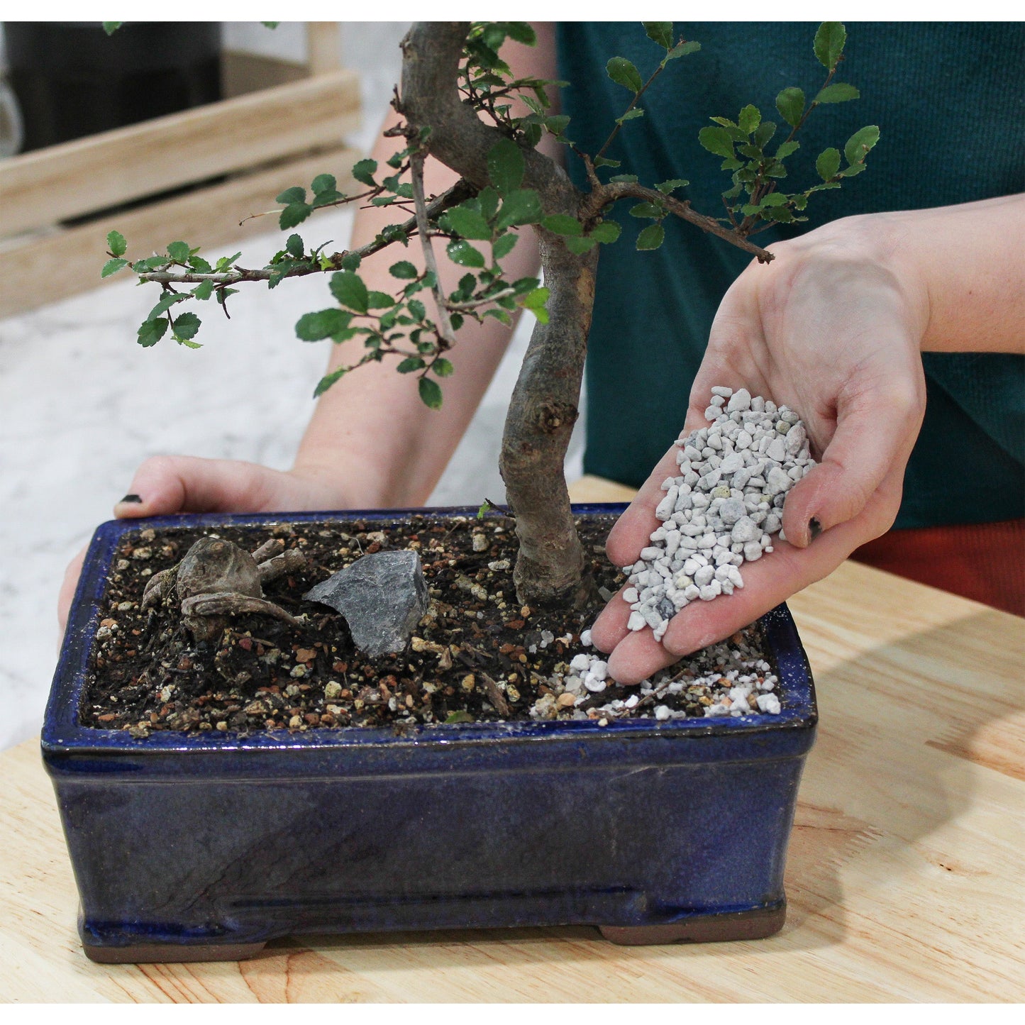 Horticultural Bonsai Pumice Soil Amendment (4 Quarts) - SSKIT168