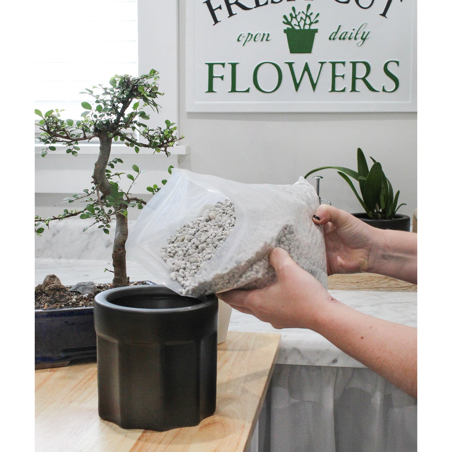 Horticultural Bonsai Pumice Soil Amendment (4 Quarts) - SSKIT168