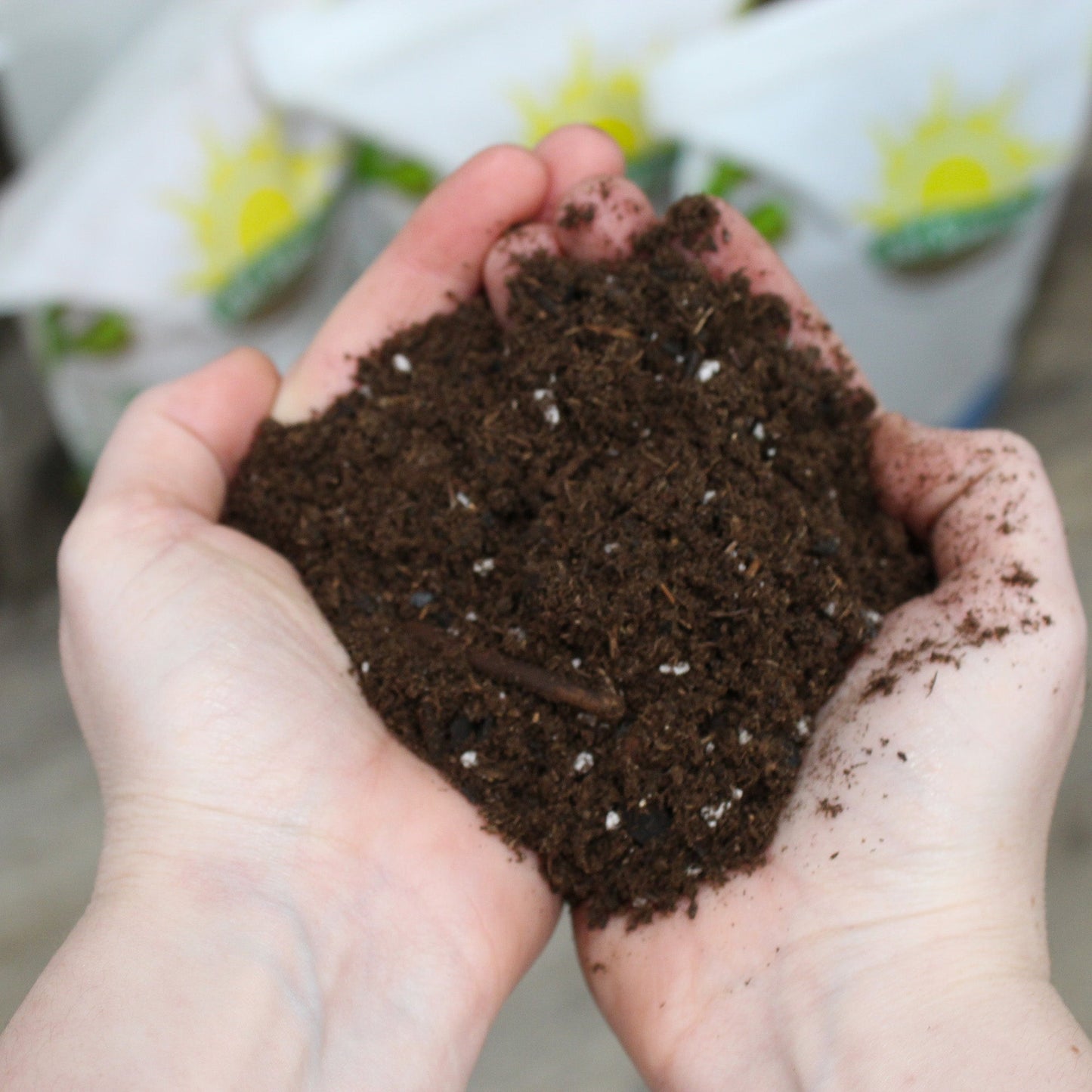 Hoya Plant Potting Soil Mix (4 Quarts) - SSKIT172