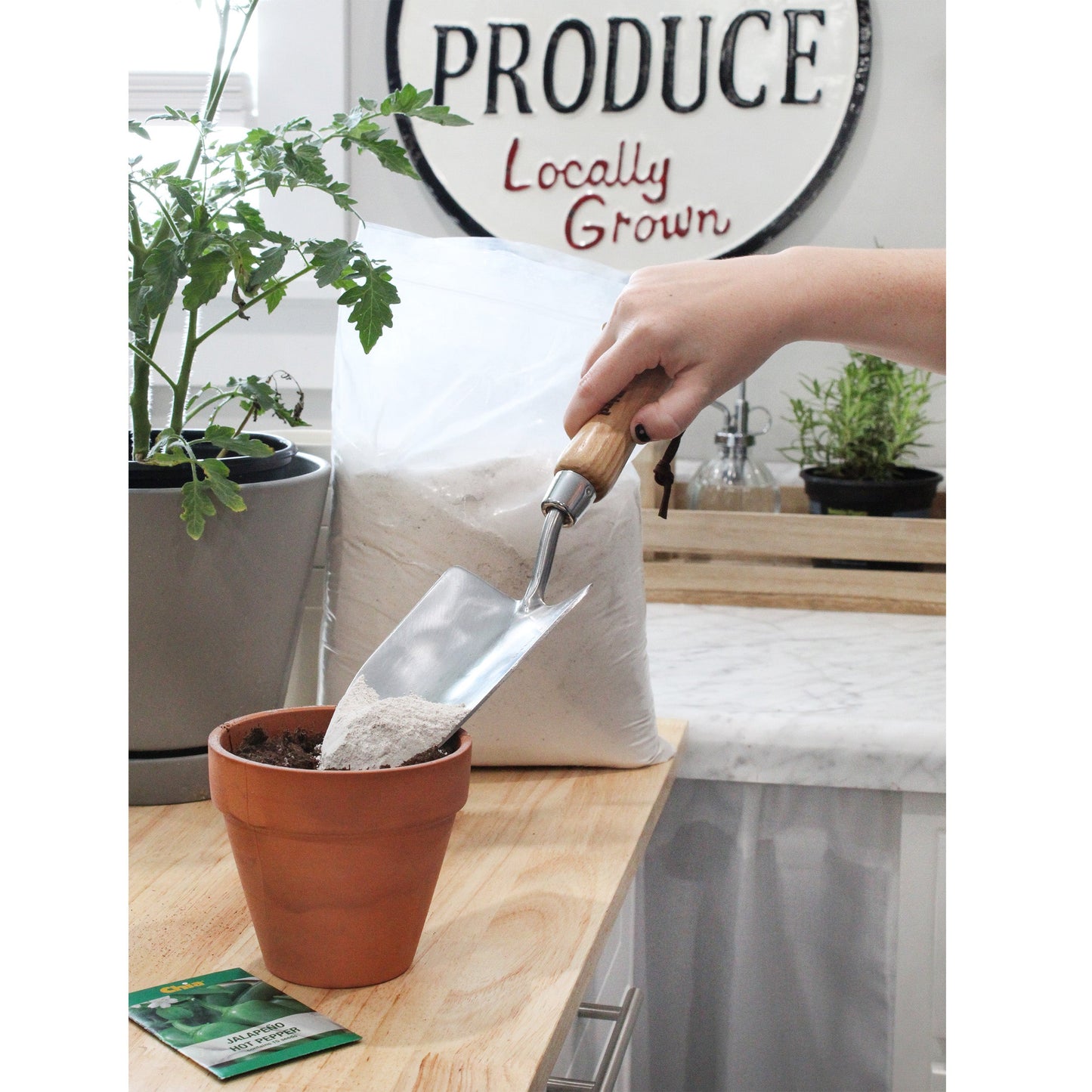 Oyster Flour Soil Conditioner (1 Quart) - SSKIT173