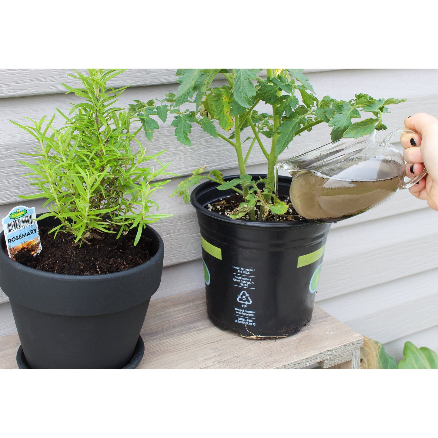 Organic Worm Castings (4 Quarts) - SSKIT203