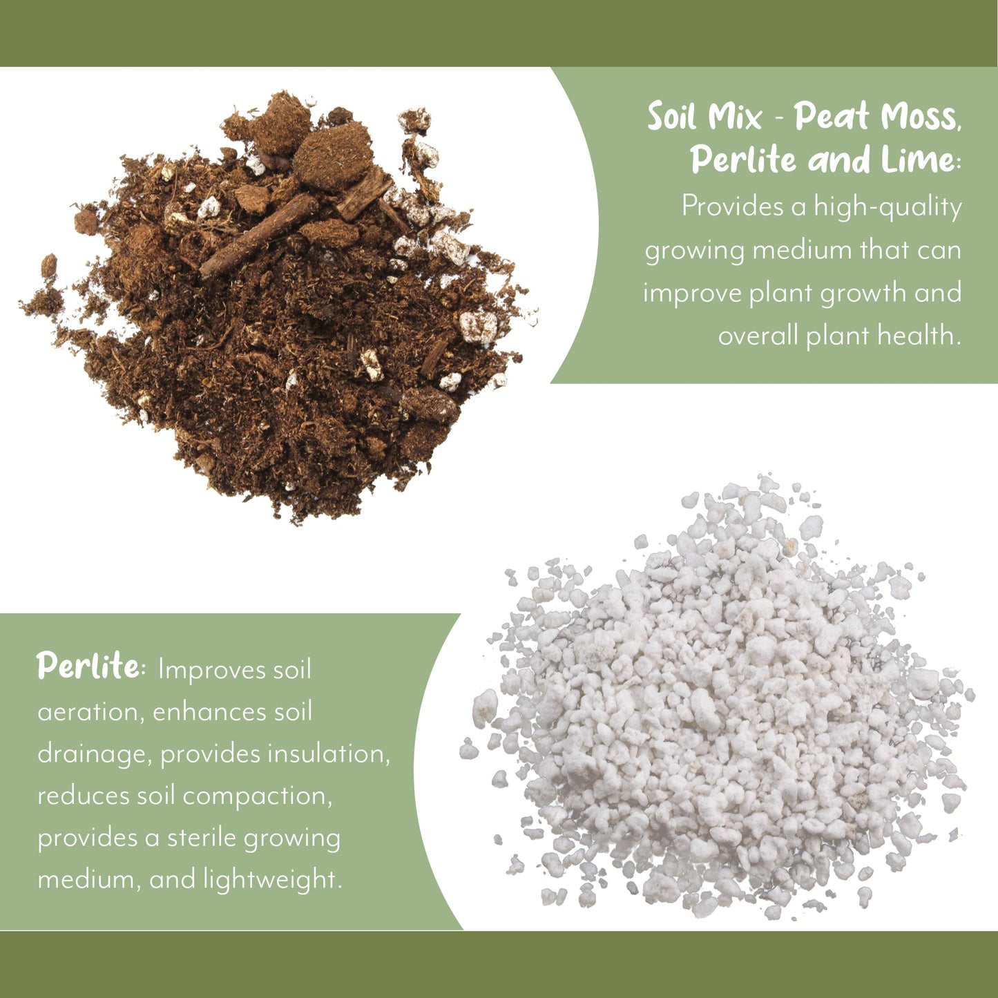 Bird of Paradise Potting Soil (4 Quarts) - SSKIT213