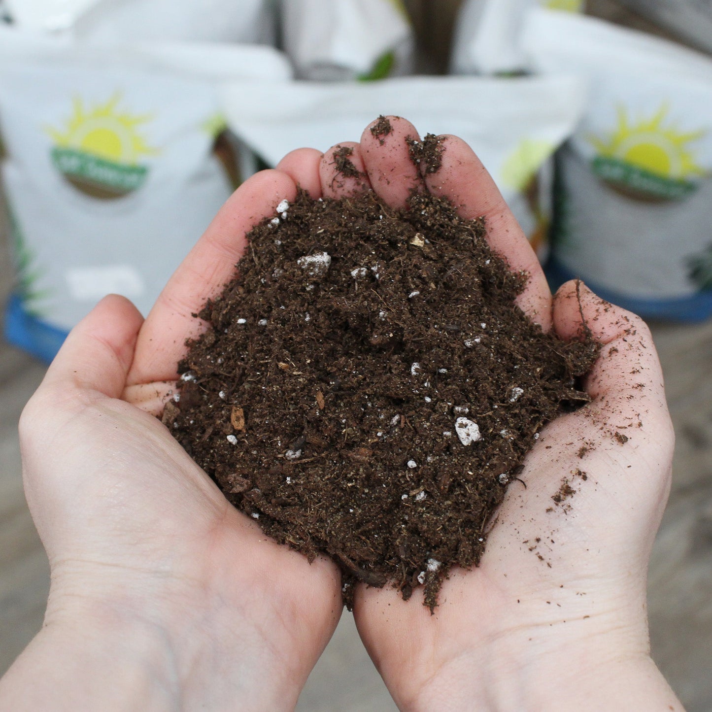 Peace Lily Potting Soil Mix (8 Quarts) - SSKIT221