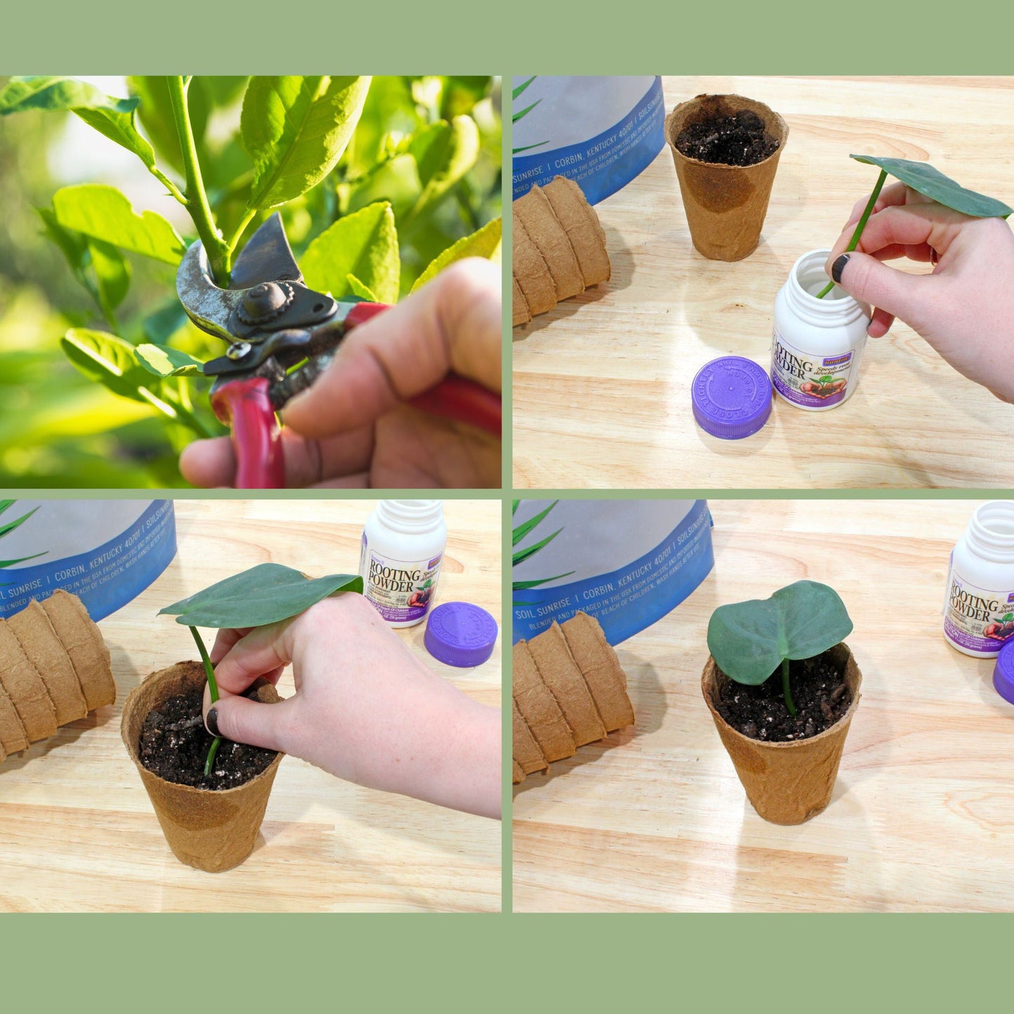 Plant Propagation Starter Kit (14-Piece Set) - SSKIT229