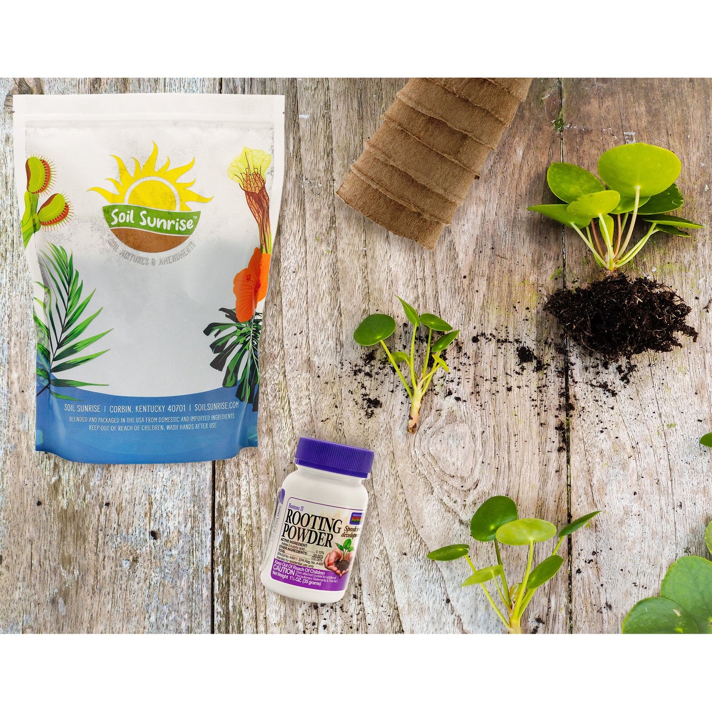 Plant Propagation Starter Kit (14-Piece Set) - SSKIT229
