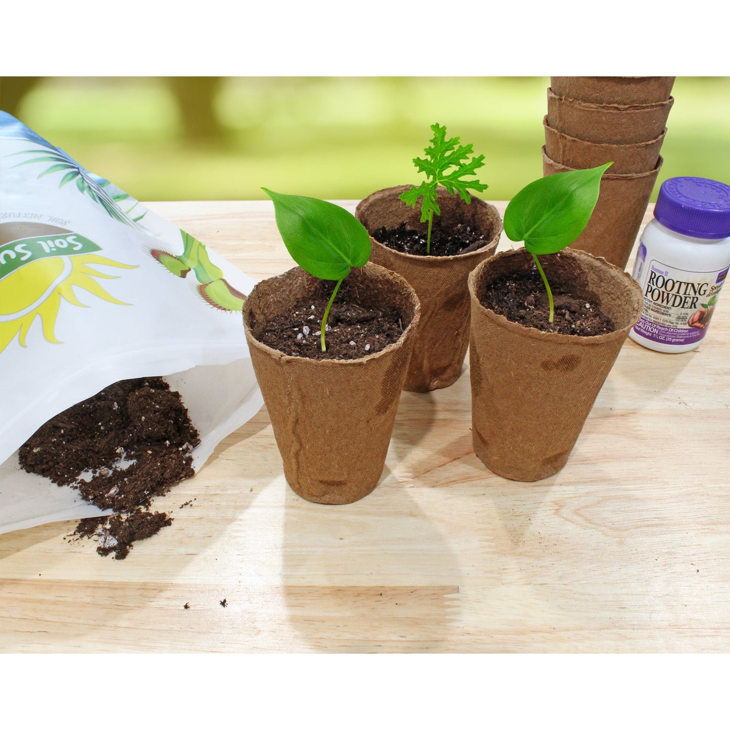 Plant Propagation Starter Kit (14-Piece Set) - SSKIT229