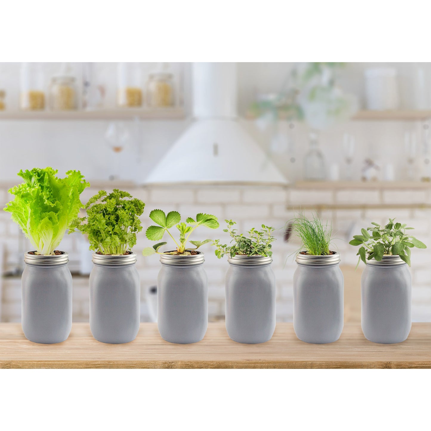 Hydroponic Mason Jar Starter Kit (10-Piece Set) - SSKIT230