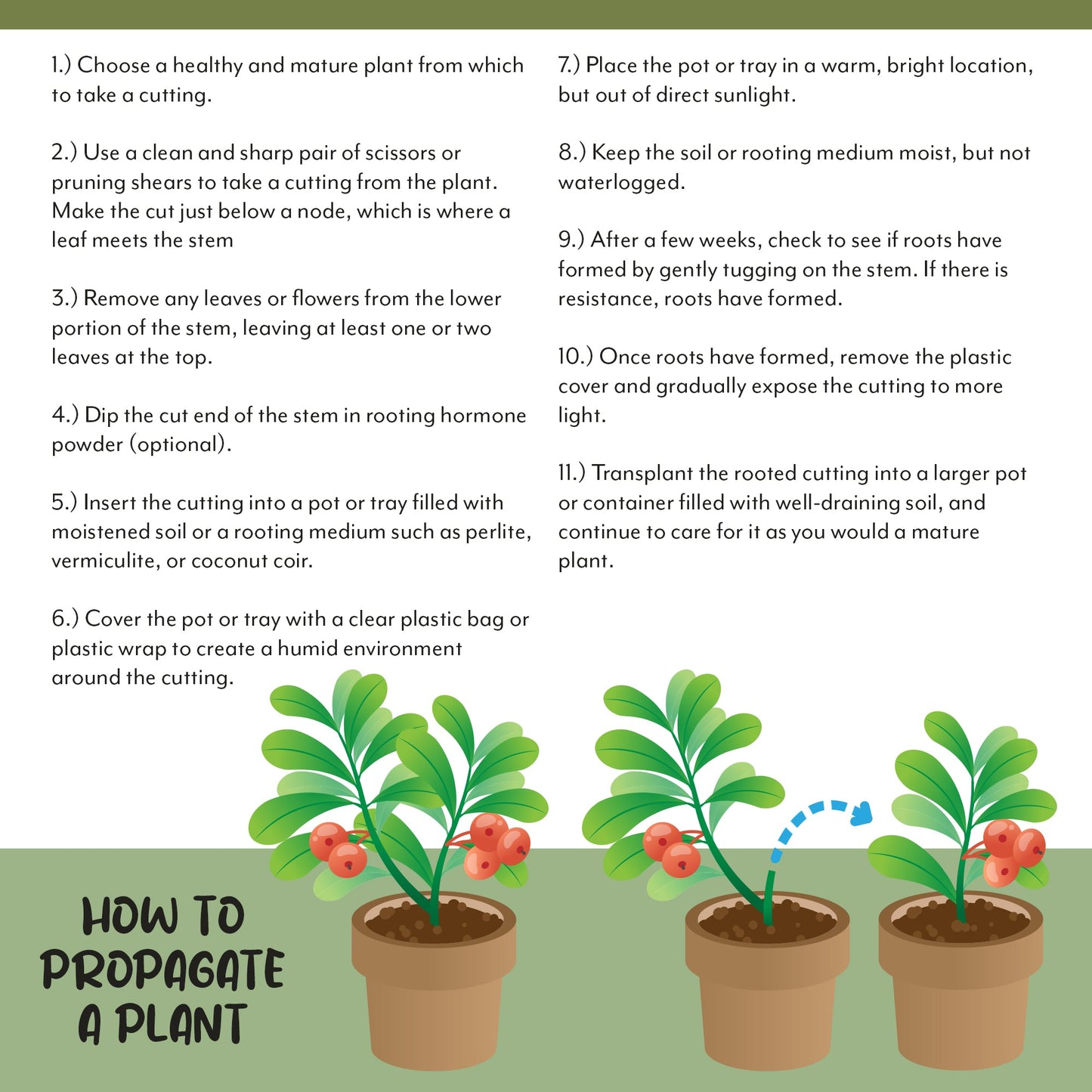 Plant Propagation Potting Mix (4 Quarts) - SSKIT231