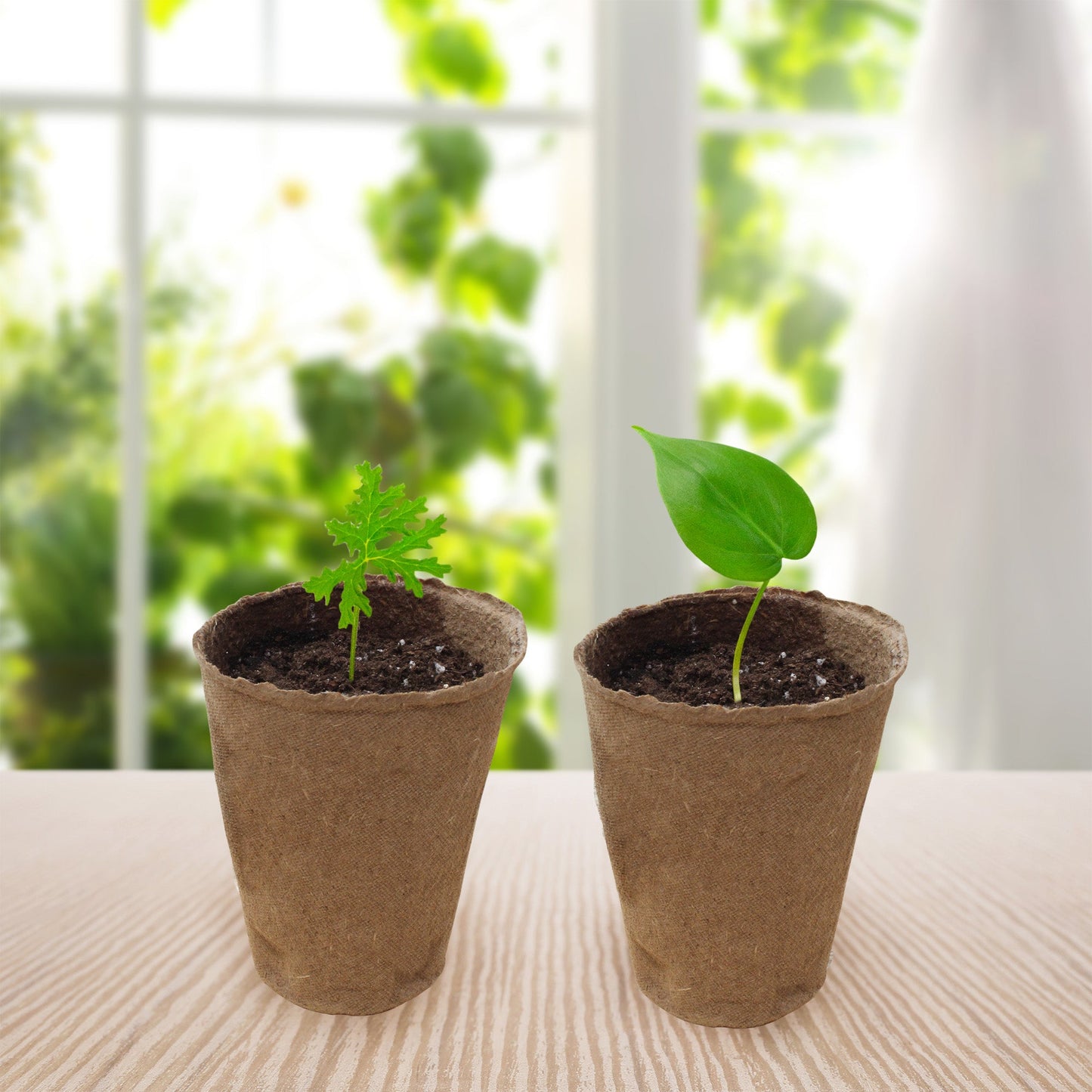 Plant Propagation Potting Mix (8 Quarts) - SSKIT232