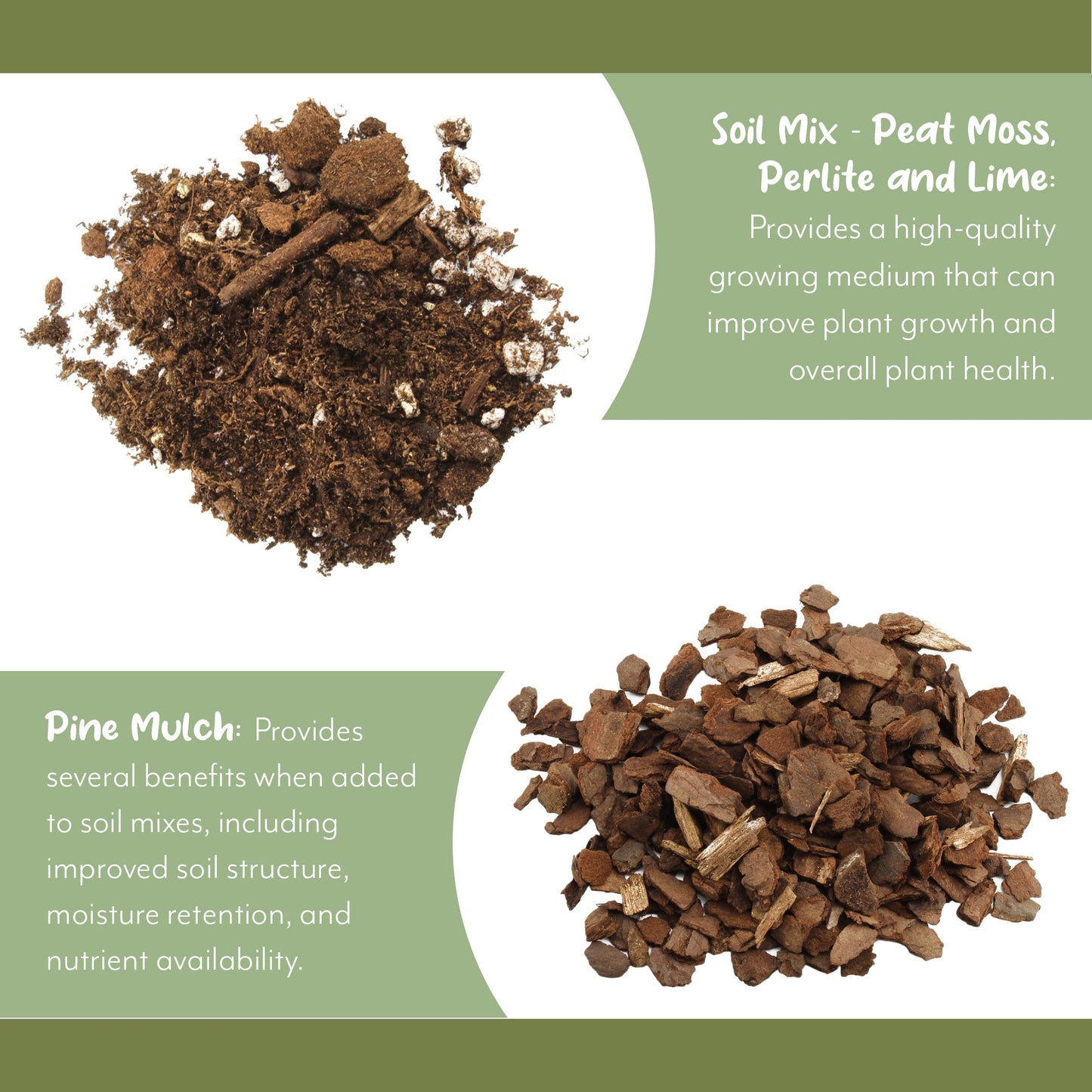 Fern Plant Potting Soil Mix (2 Quarts) - SSKIT257