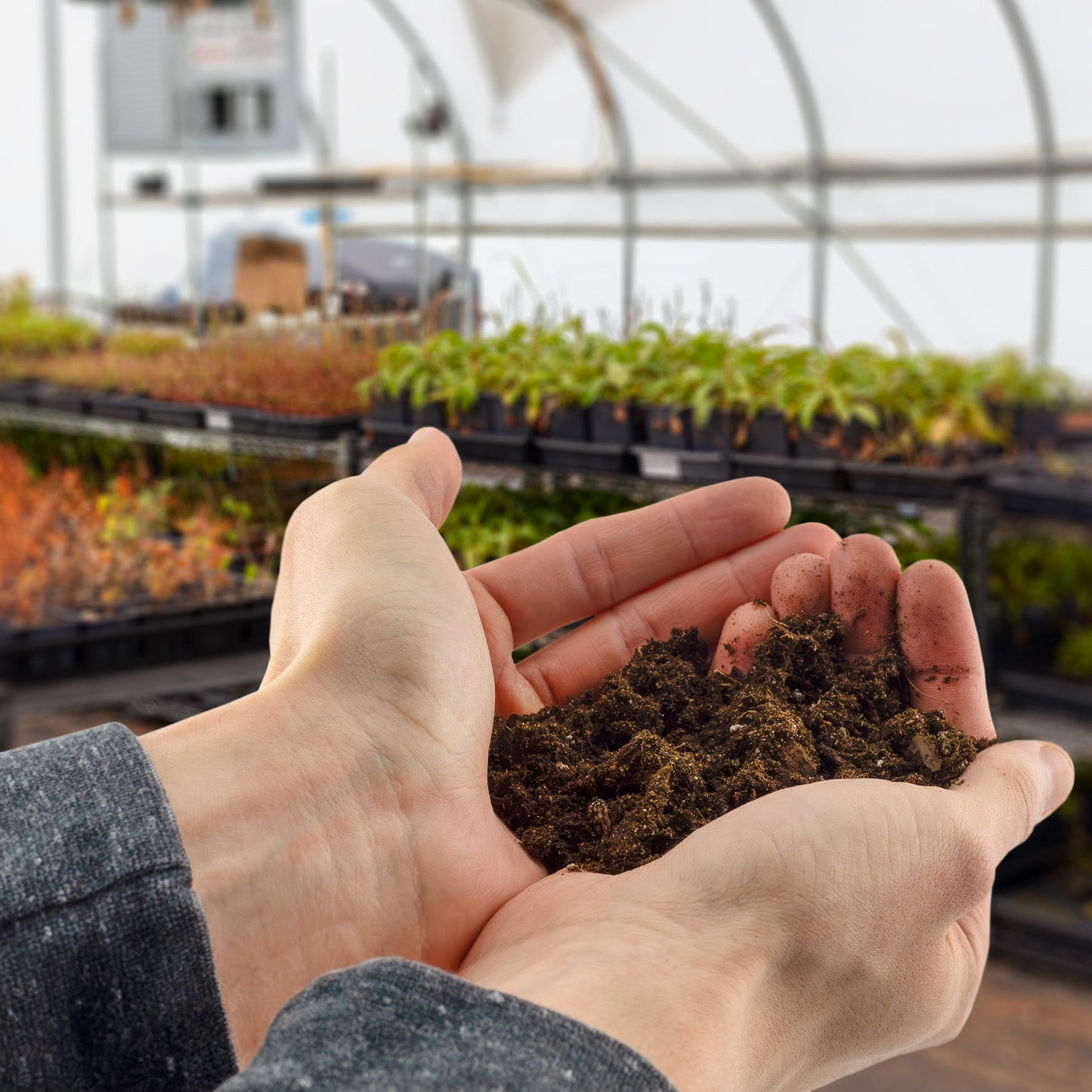 Fern Plant Potting Soil Mix (4 Quarts) - SSKIT258