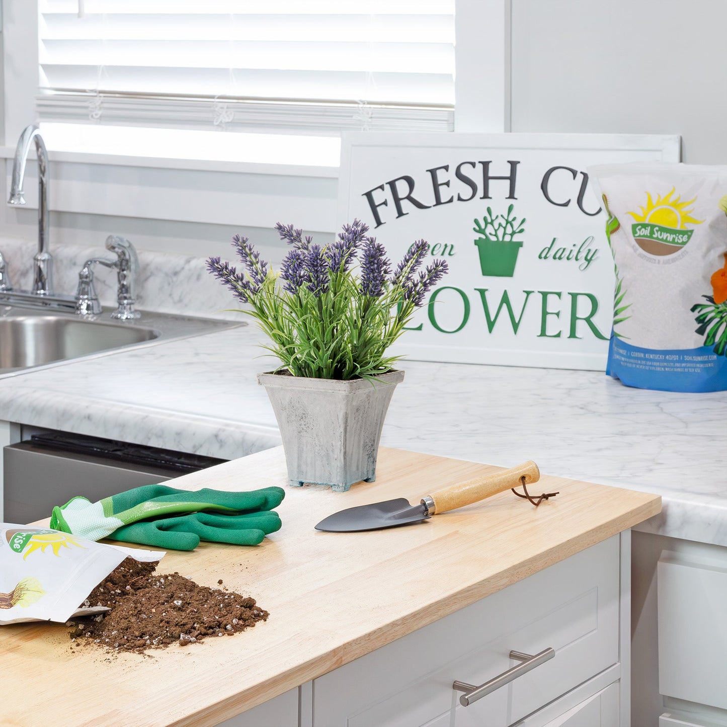 Lavender Potting Soil Mix (4 Quarts) - SSKIT062