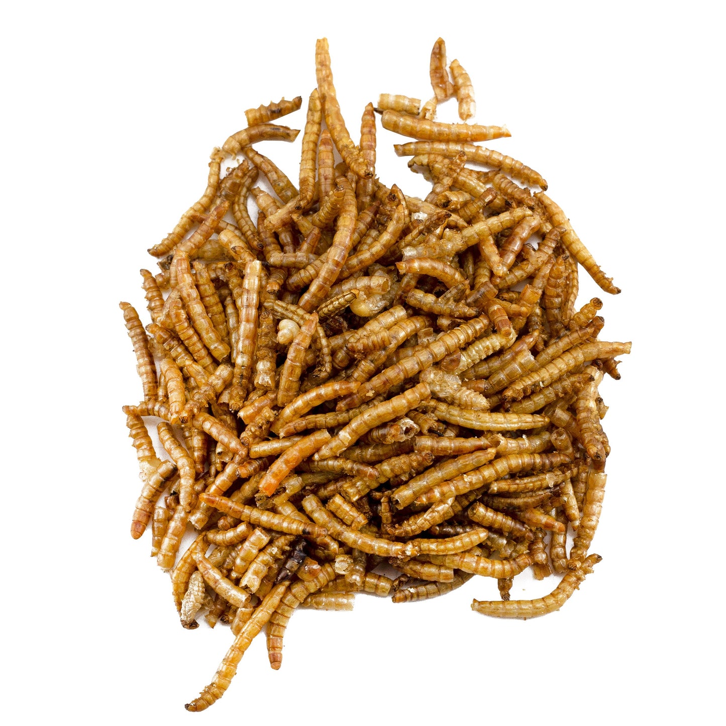 Carnivorous Plant Food Dried Mealworms (1oz) - SSKIT106