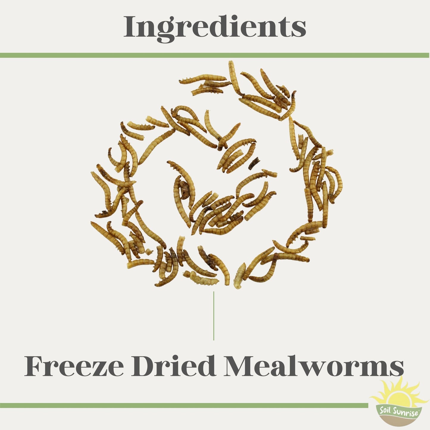 Carnivorous Plant Food Dried Mealworms (1oz) - SSKIT106