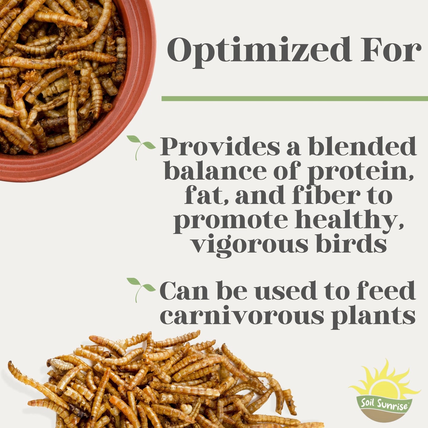 Carnivorous Plant Food Dried Mealworms (1oz) - SSKIT106