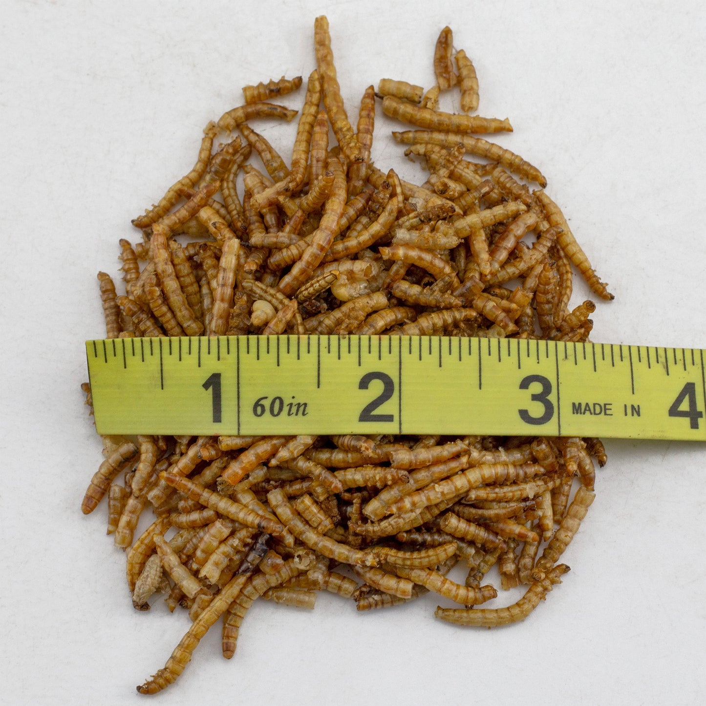 Carnivorous Plant Food Dried Mealworms (1oz) - SSKIT106