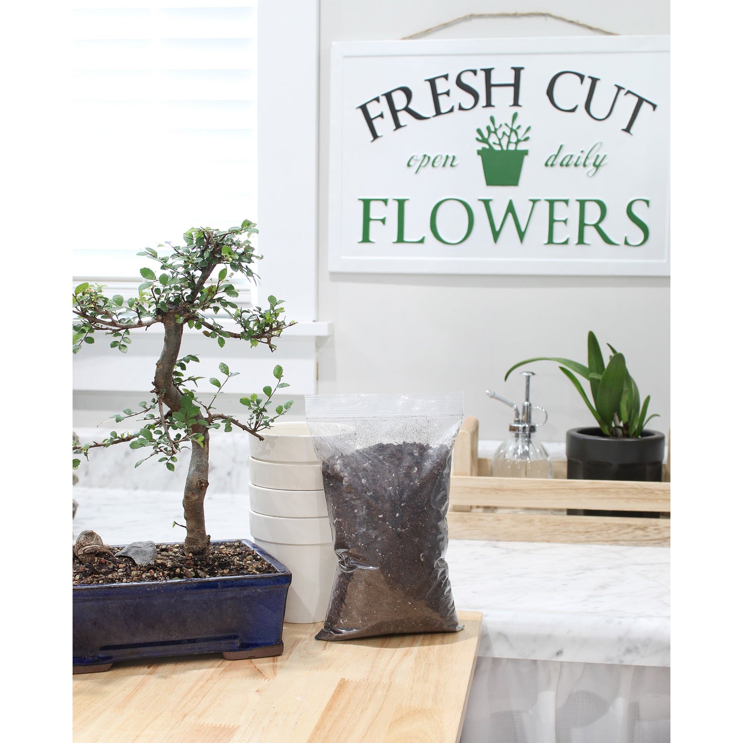 All-Purpose Bonsai Potting Mix (2 Quarts) - SSKIT144