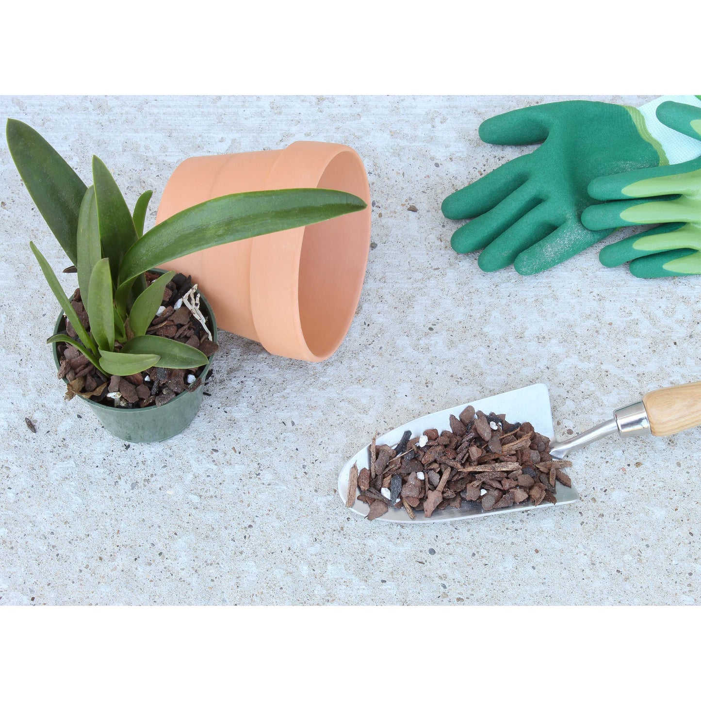 Orchid Potting Soil Mix (2 Quarts) - SSKIT125
