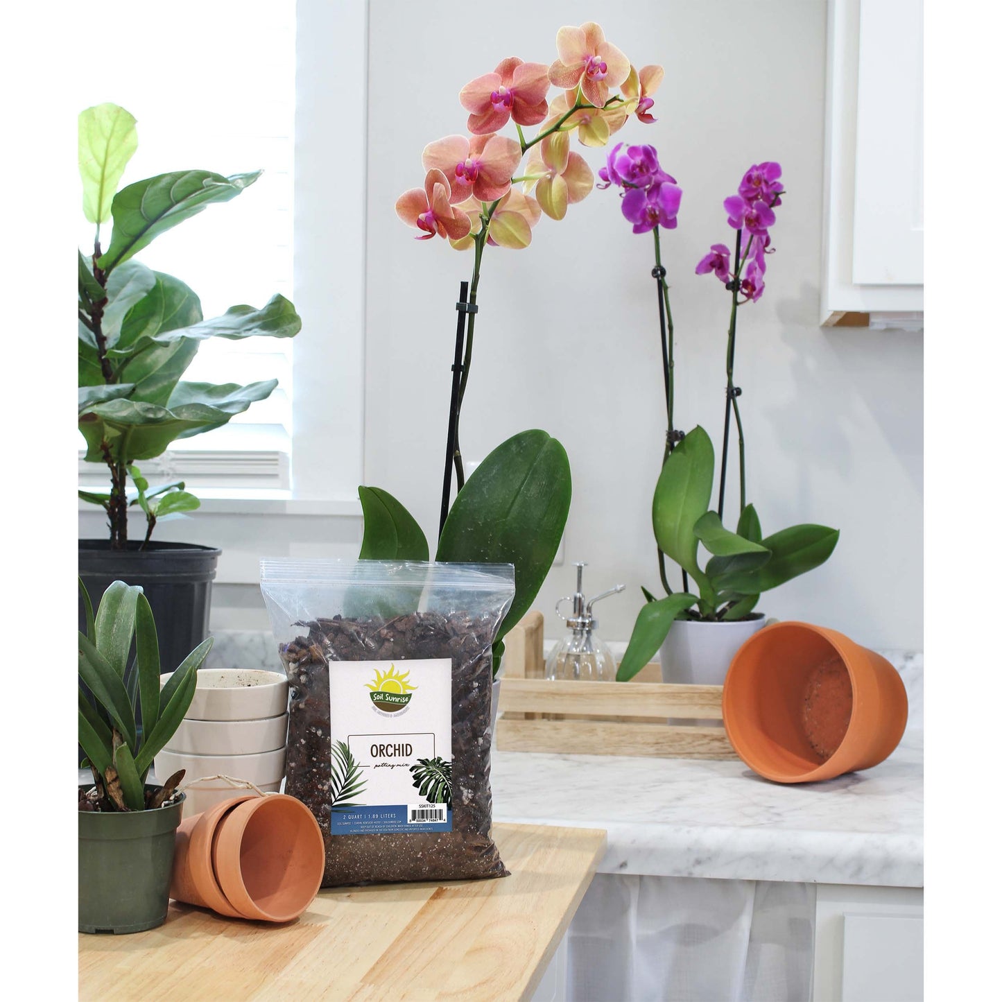 Orchid Potting Soil Mix (2 Quarts) - SSKIT125