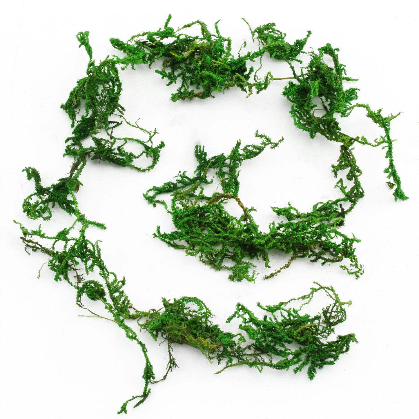 Dried Mountain Moss For Soil Topping (1 Quart)