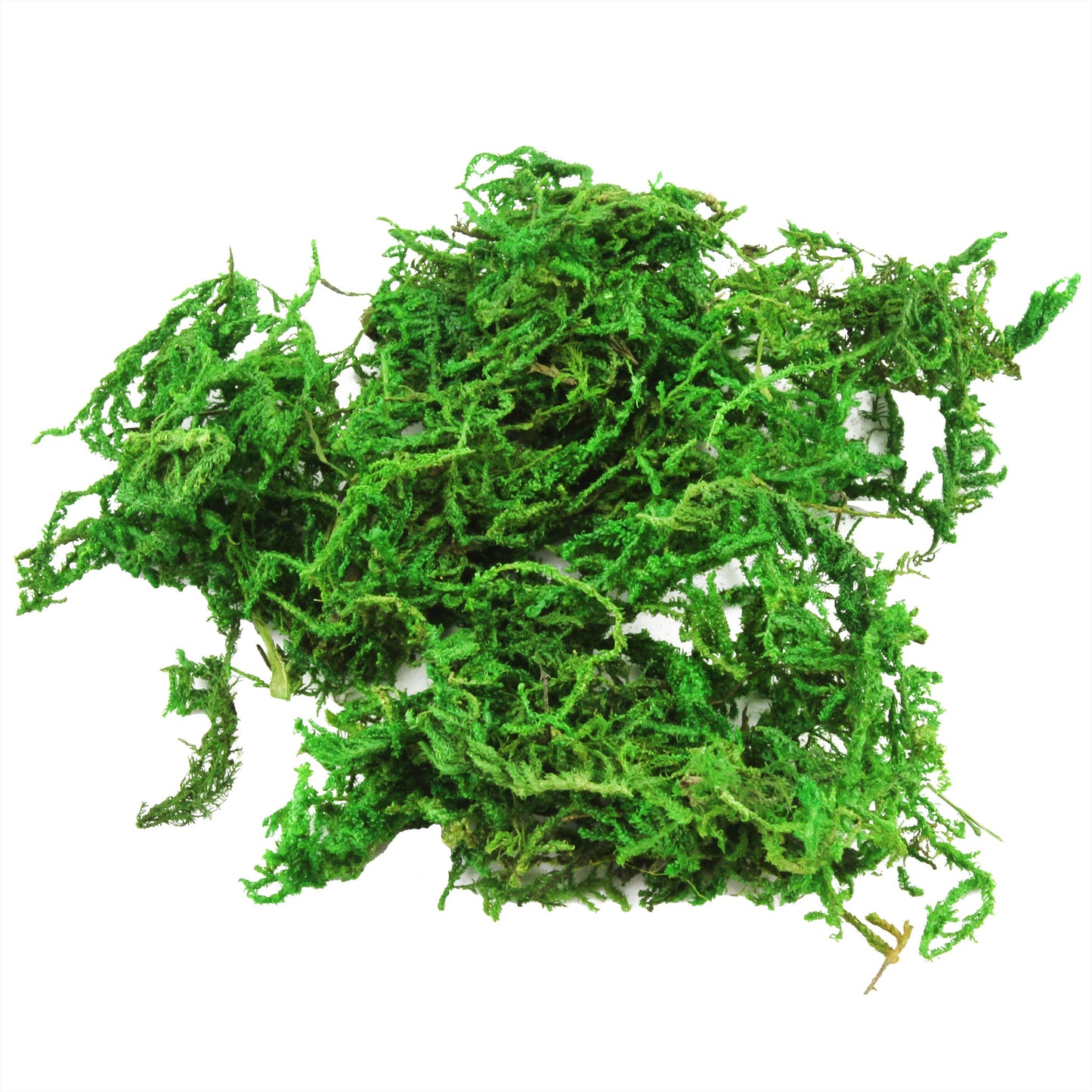 Dried Mountain Moss For Soil Topping (1 Quart)