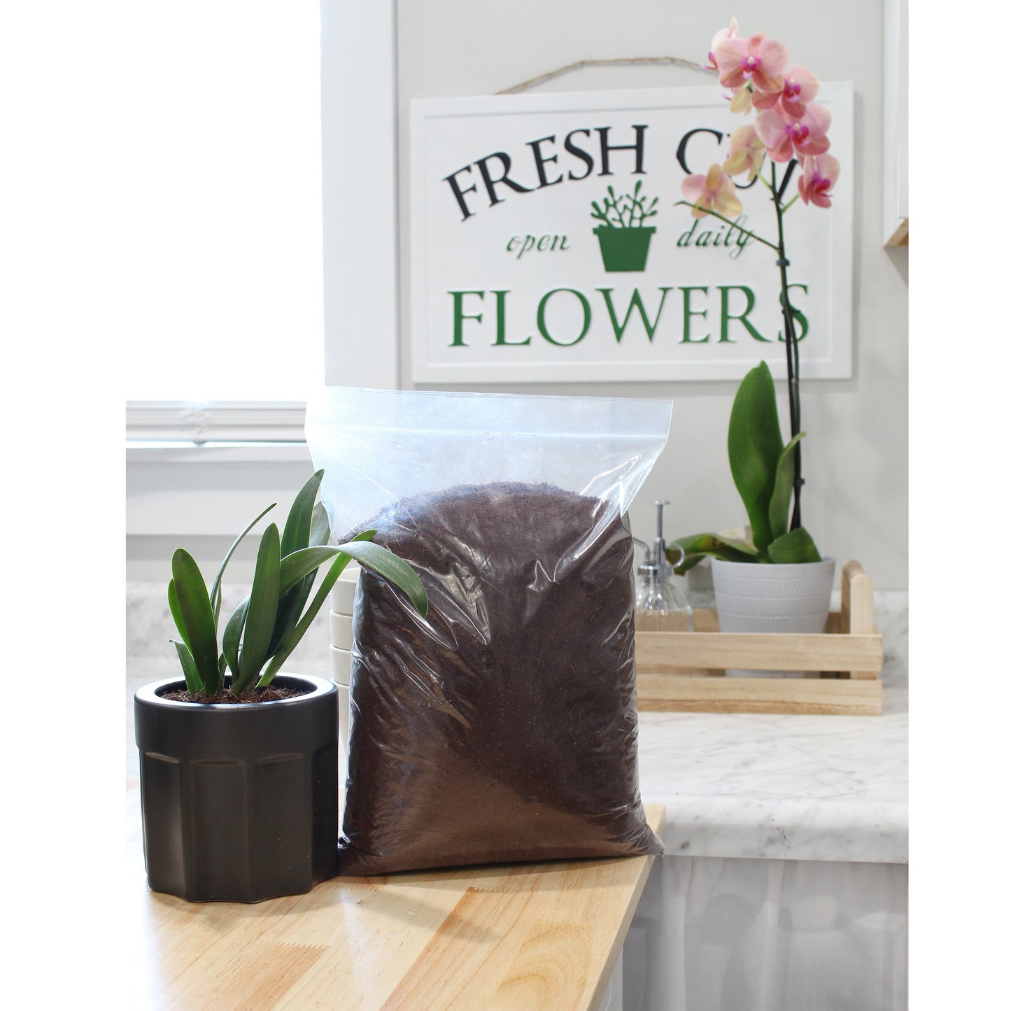 Wheatgrass Sprouting Potting Mix (4 Quarts) - SSKIT135