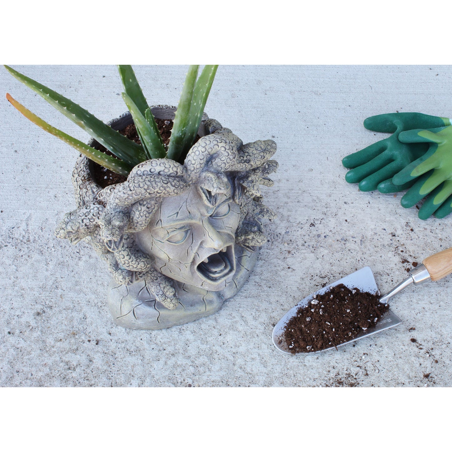 Aloe Vera Potting Soil Mix (2 Quarts) - SSKIT161
