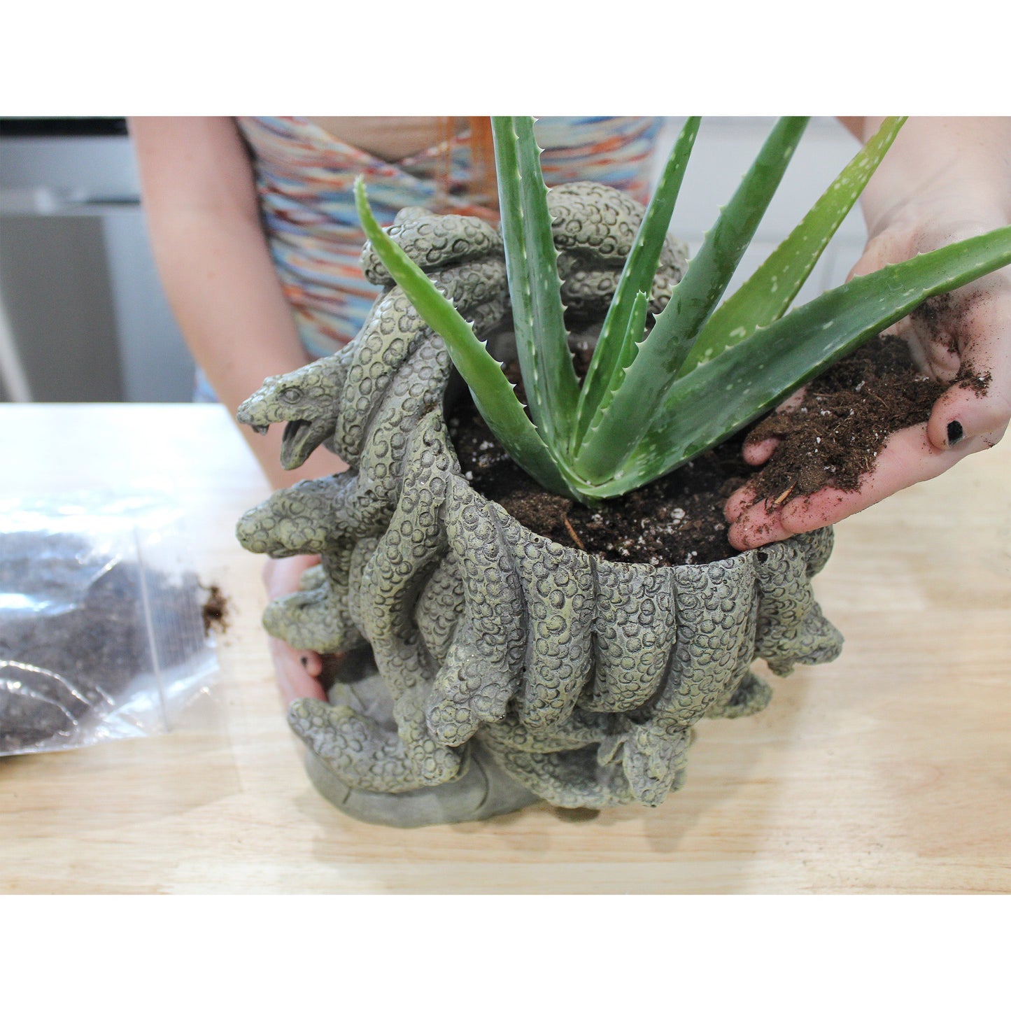 Aloe Vera Potting Soil Mix (4 Quarts) - SSKIT162