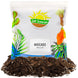 Avocado Tree Potting Soil Mix