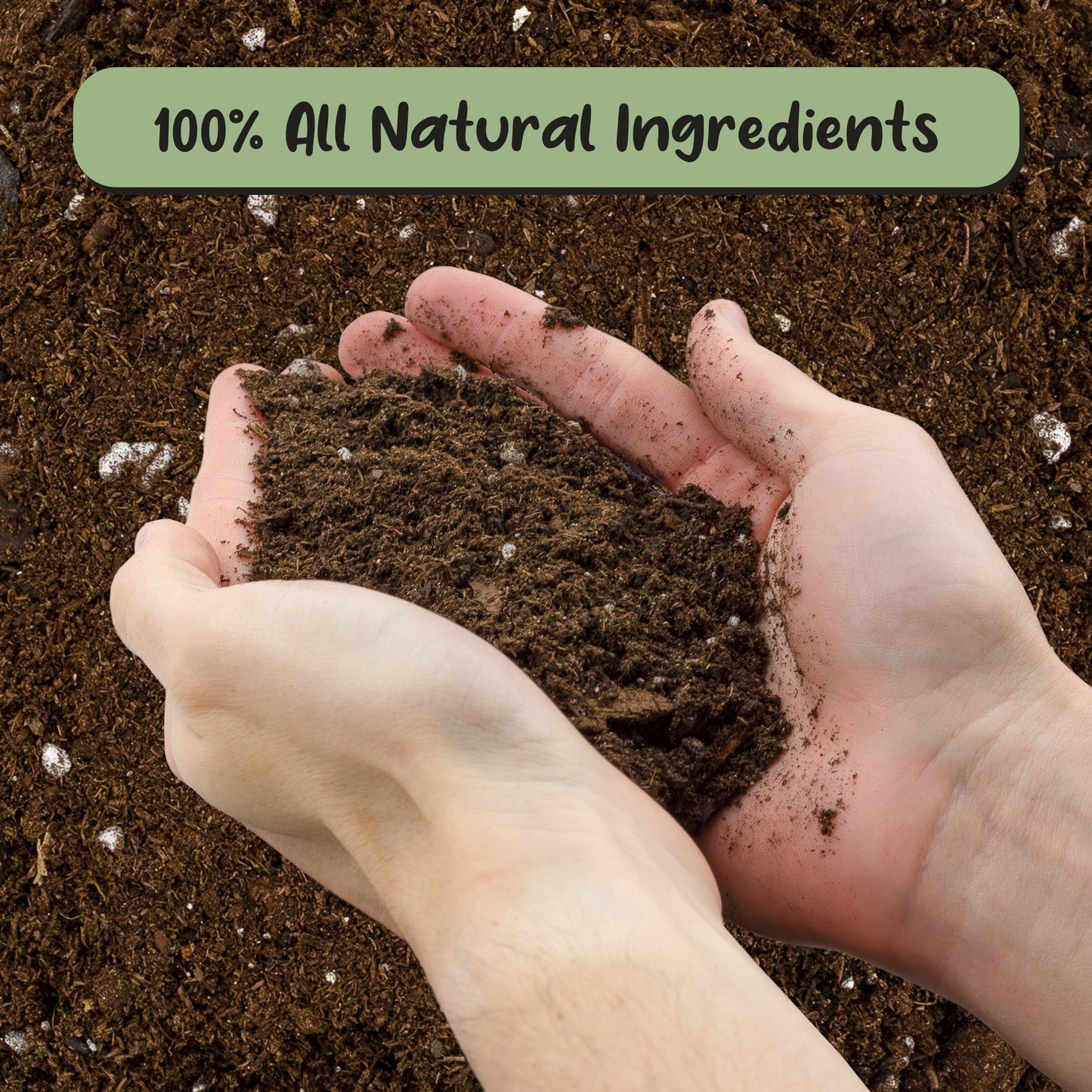 Hoya Plant Potting Soil Mix