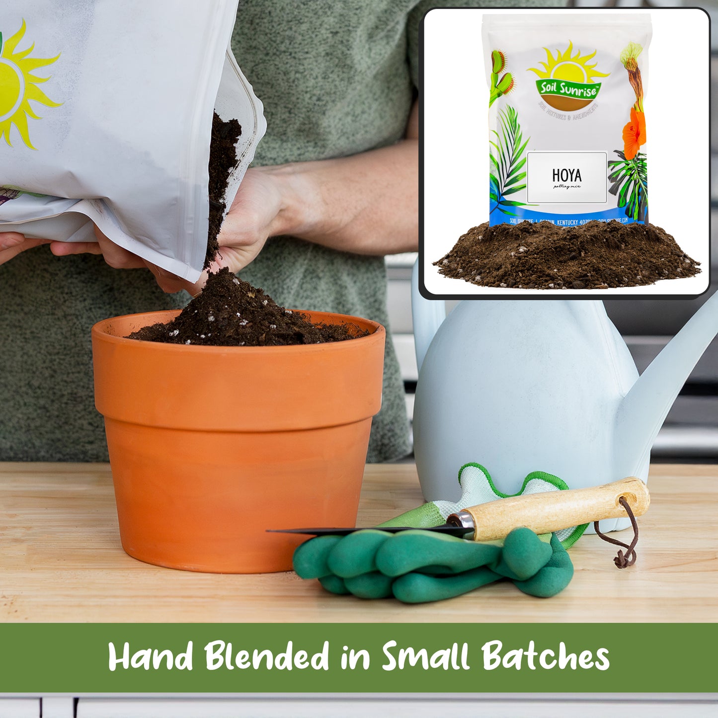 Hoya Plant Potting Soil Mix