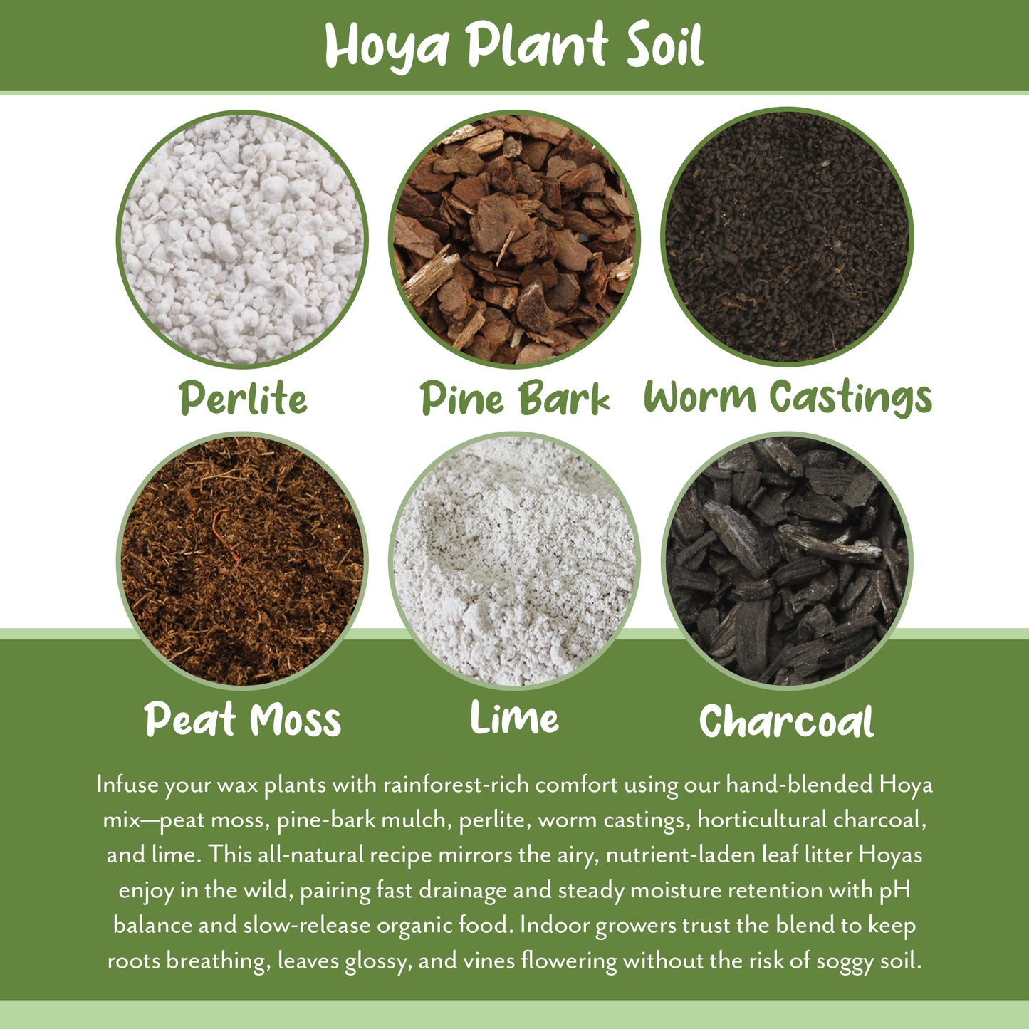 Hoya Plant Potting Soil Mix