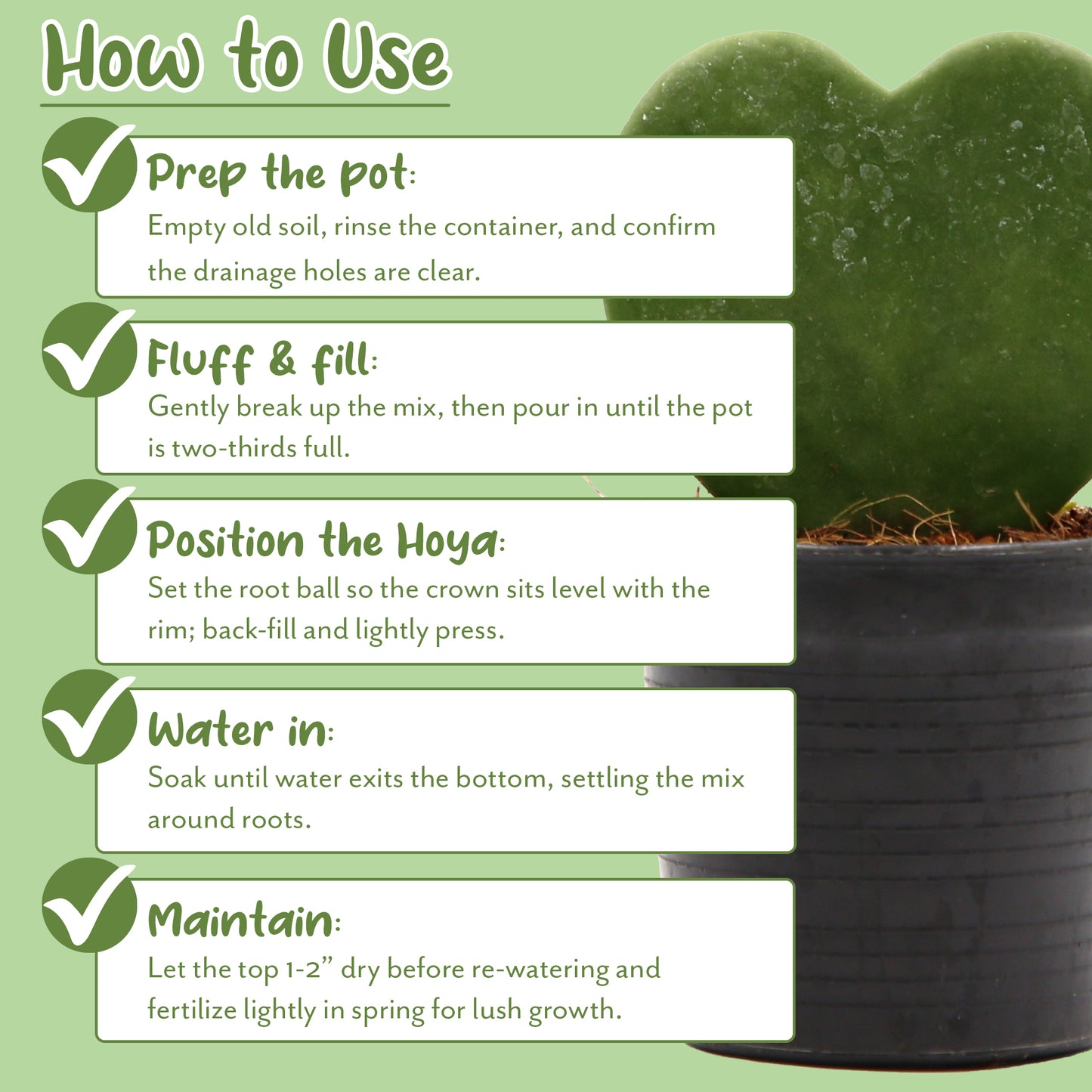 Hoya Plant Potting Soil Mix