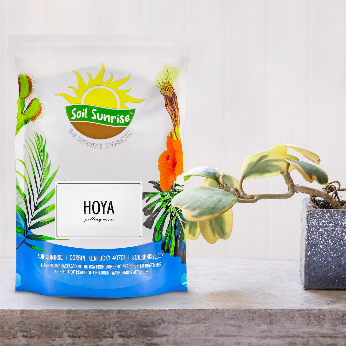Hoya Plant Potting Soil Mix
