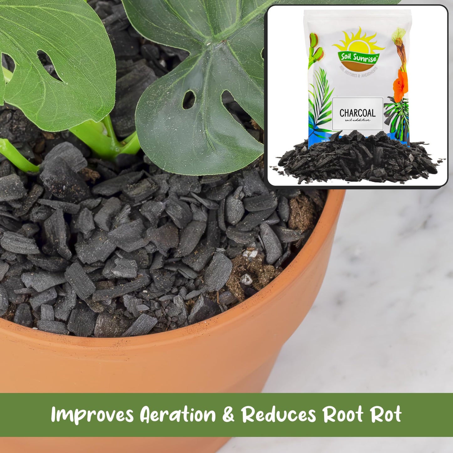 Horticultural Charcoal for Indoor Plants (8 Quarts), Hardwood Soil Additive for Orchids, Terrariums, and Gardening