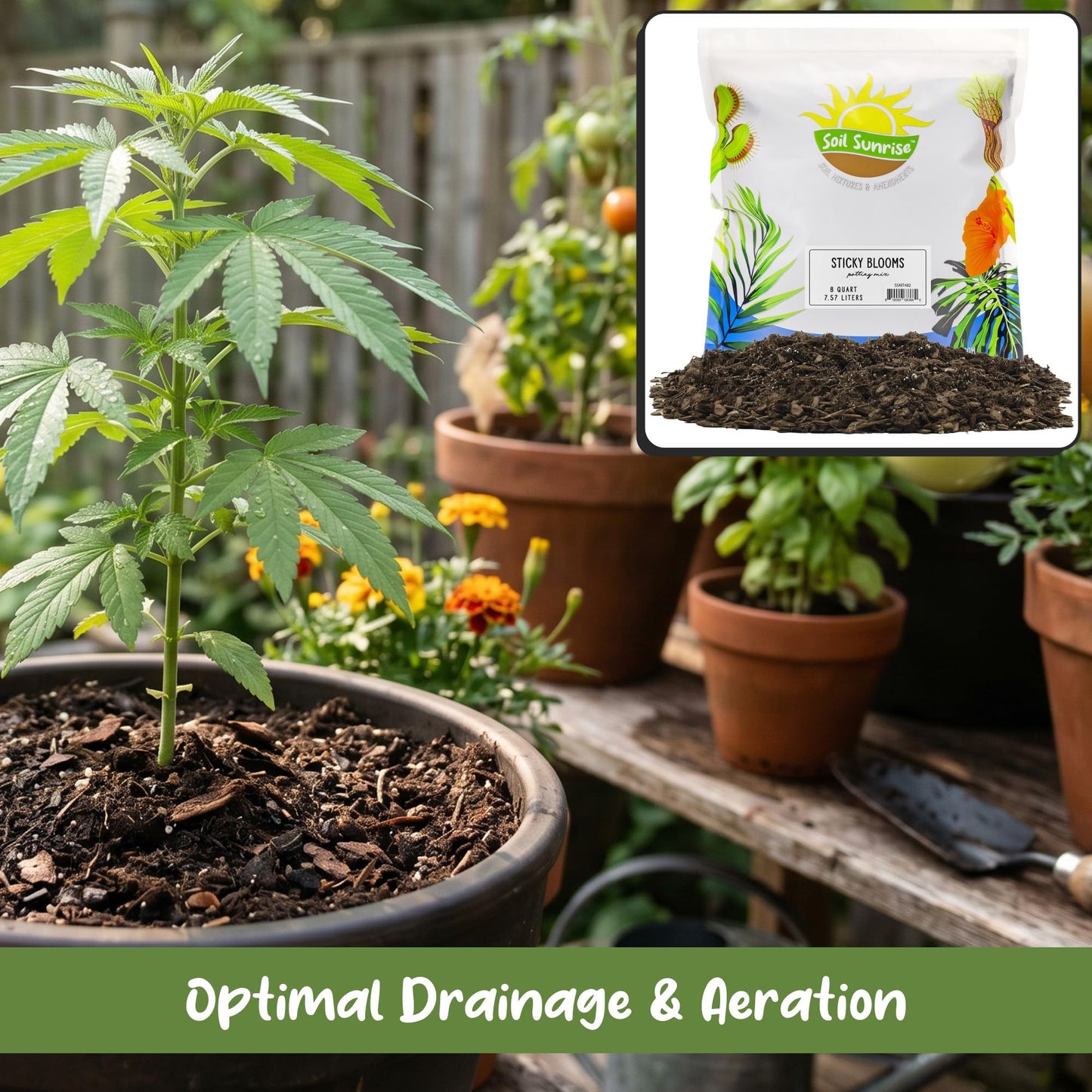 Soil Sunrise Sticky Blooms Organic Potting Mix – Nutrient-Rich Blend with Bat Guano, Kelp & Worm Castings – Premium Soil for Flowering Plants – 8 Quarts
