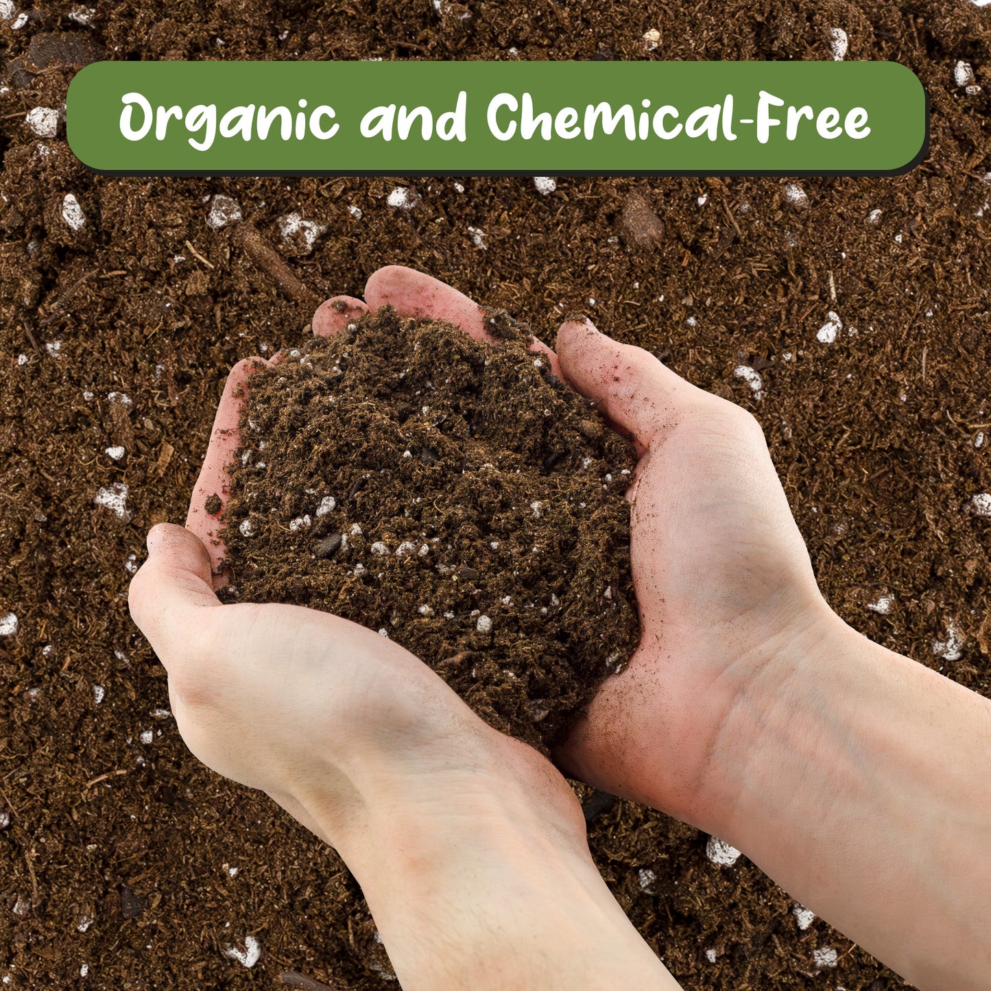 Lavender Potting Soil Mix