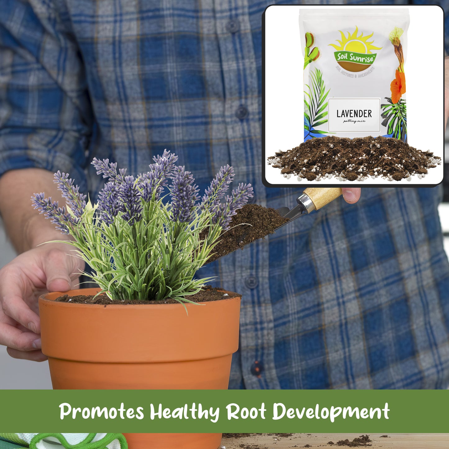 Lavender Potting Soil Mix