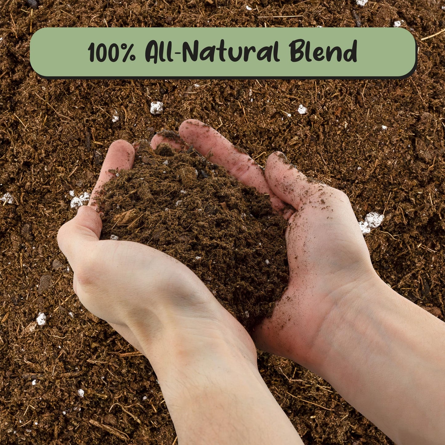 Monstera Houseplant Potting Soil Mix (8 Quarts), Custom Blend for Growing and Repotting