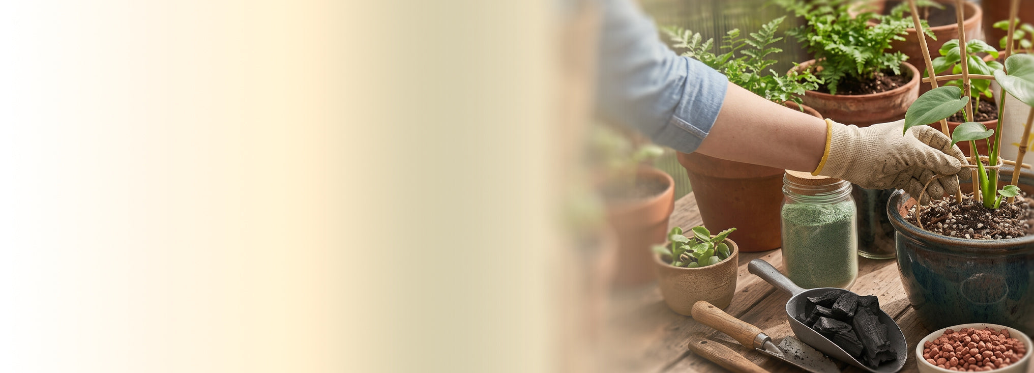 banner-image