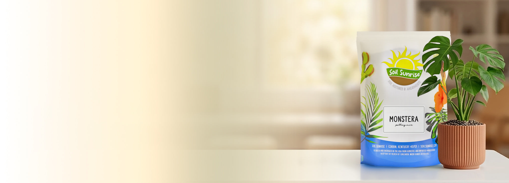banner-image