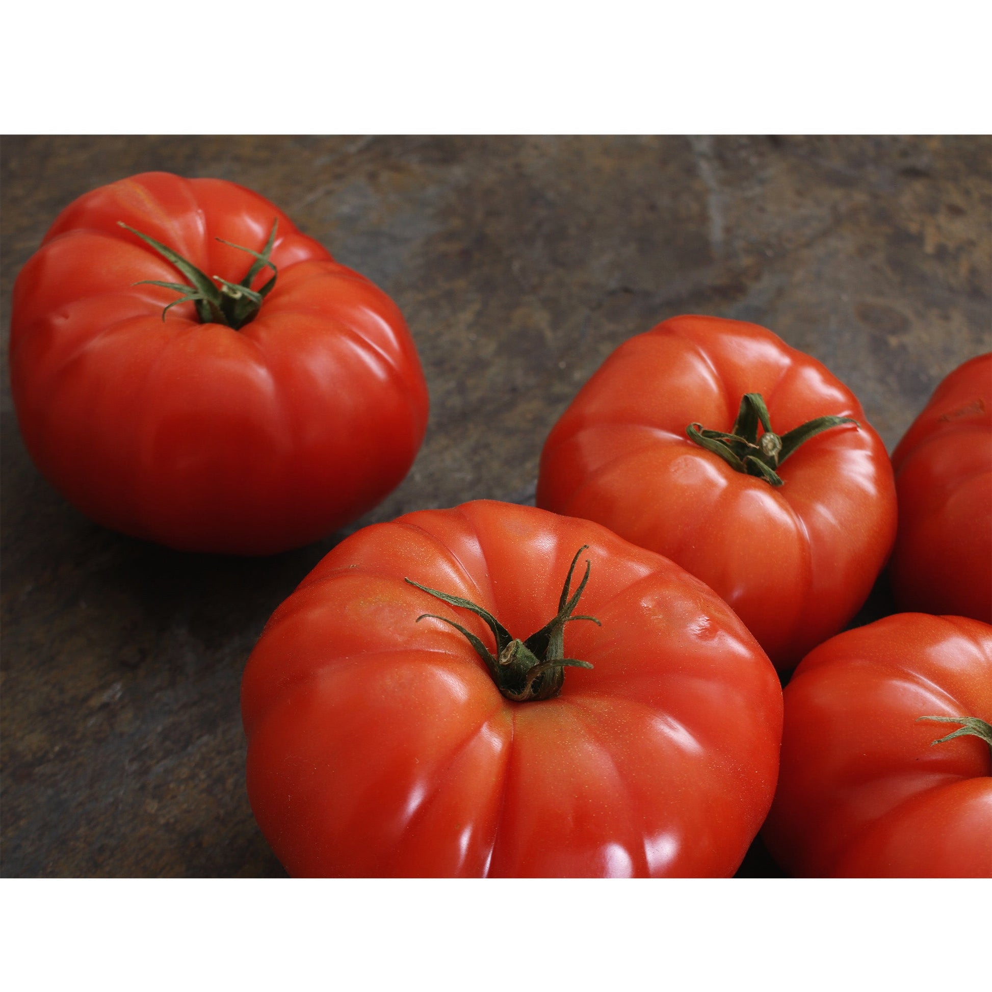 Live Beefsteak Tomato Plants (4-Pack)