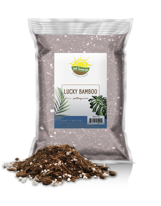 Lucky Bamboo Plant Potting Mix (2 Quarts)