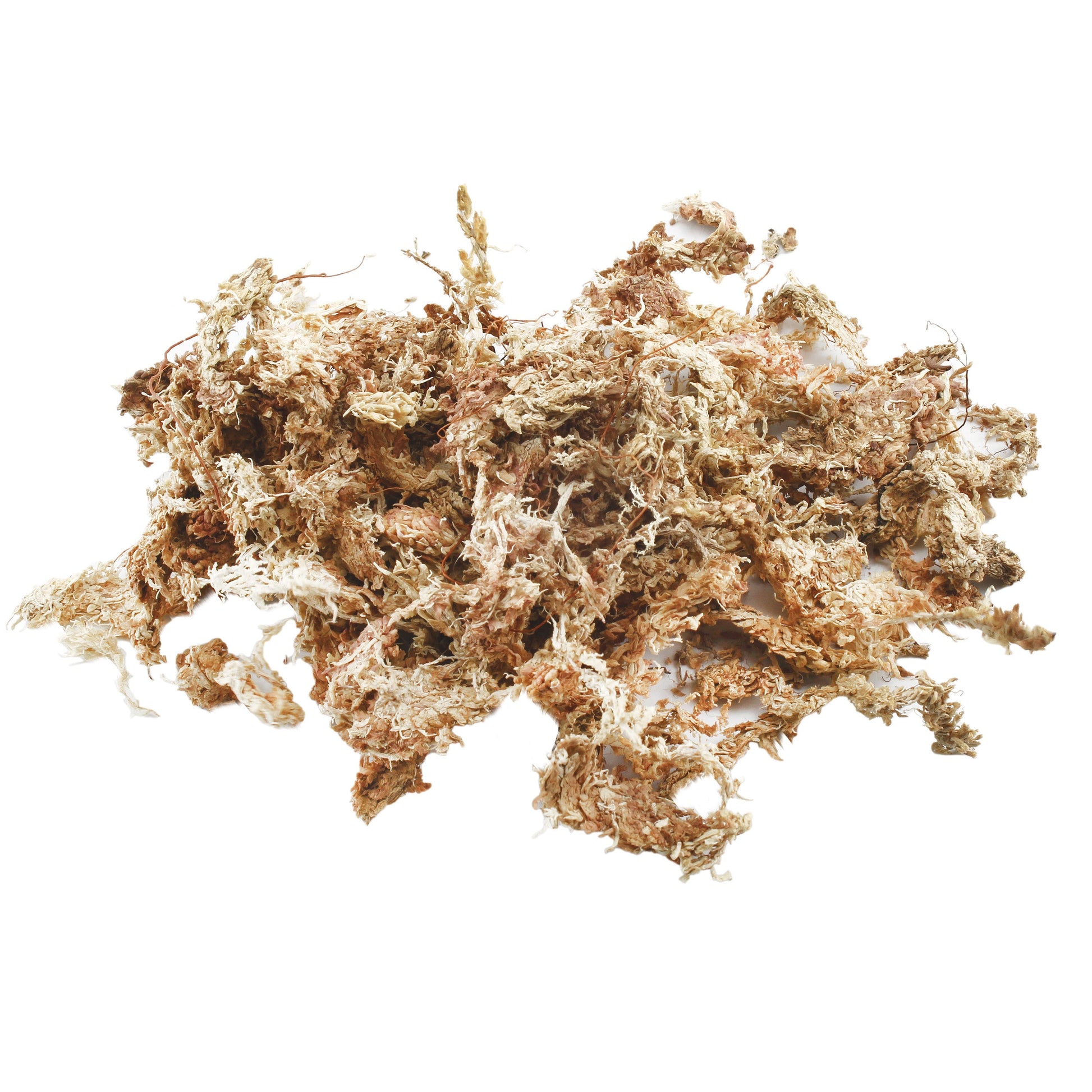 Long Fibered Sphagnum Peat Moss (4 Quarts) - SSKIT068