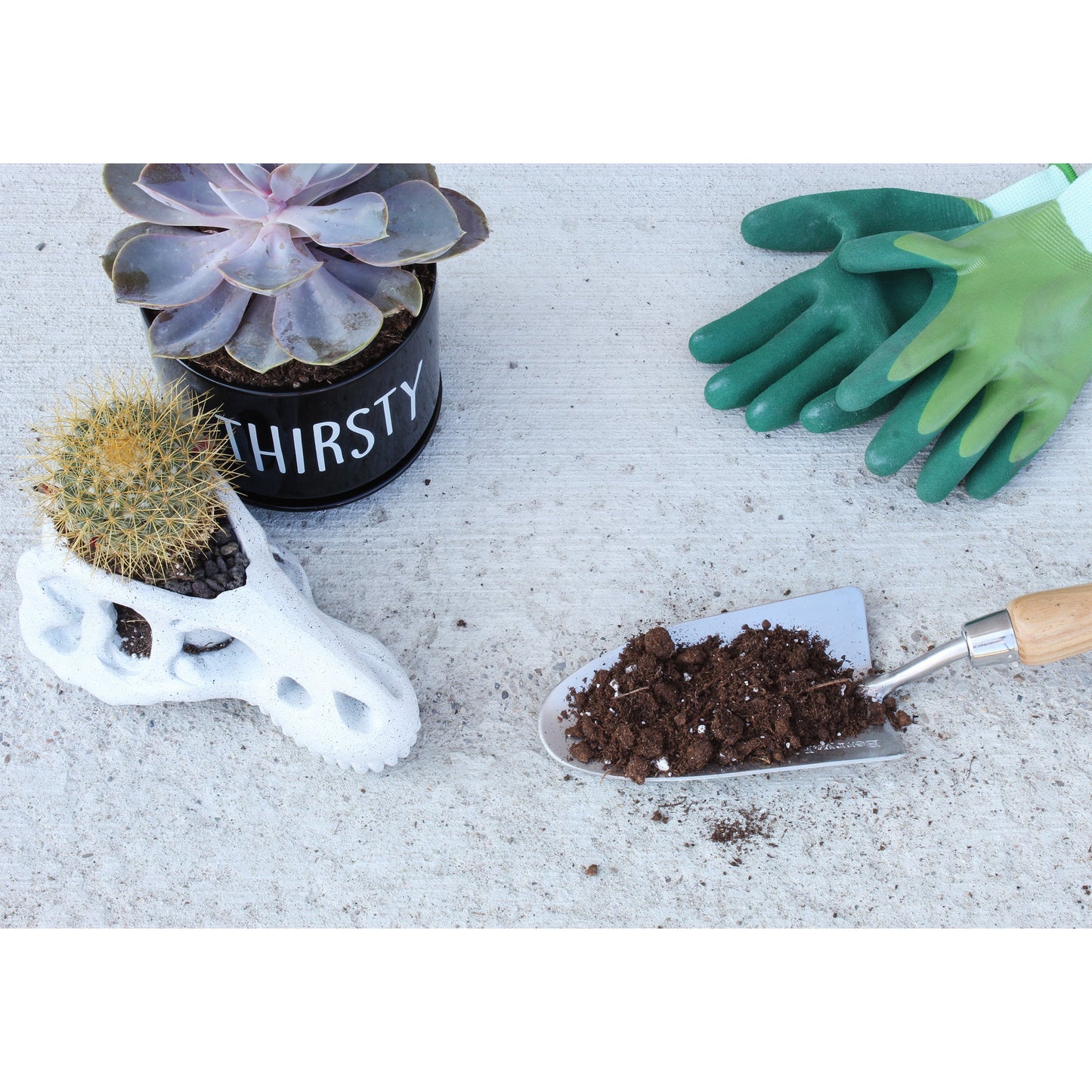 Succulent Potting Soil Mix (8 Quarts) - SSKIT118
