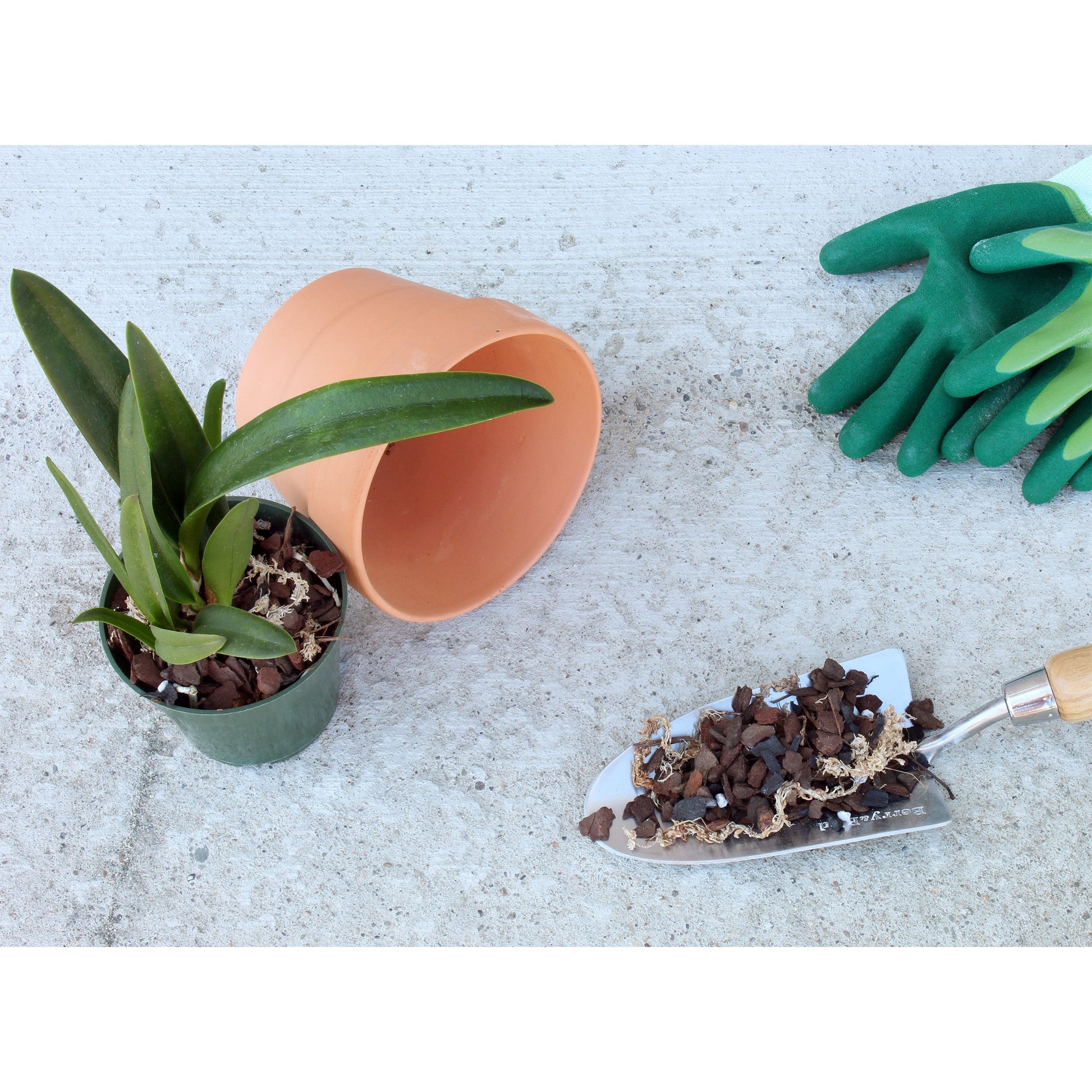 Premium Orchid Potting Mix w/ Long Fiber Sphagnum (2 Quarts) - SSKIT129