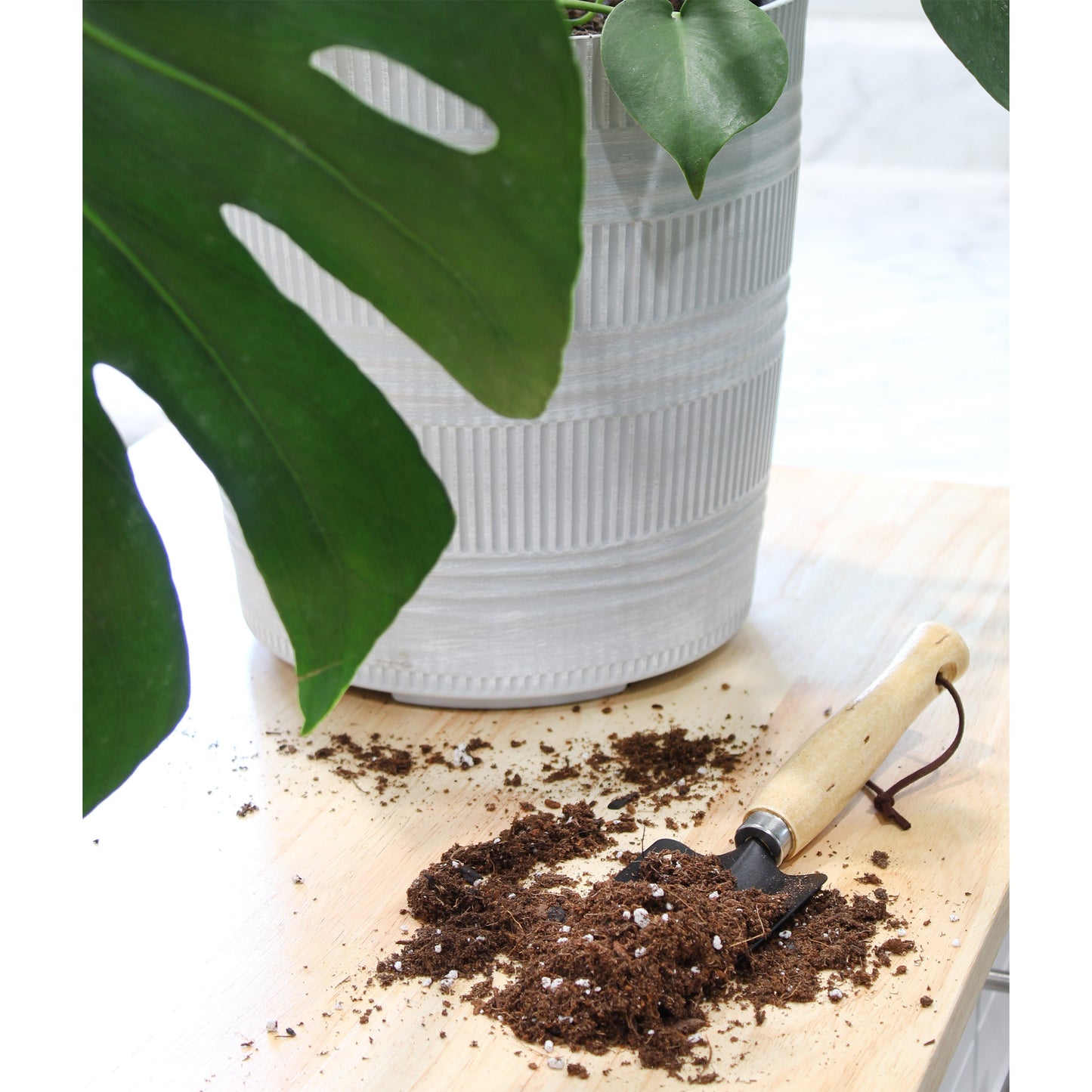 Monstera Houseplant Potting Soil Mix (4 Quarts) - SSKIT069